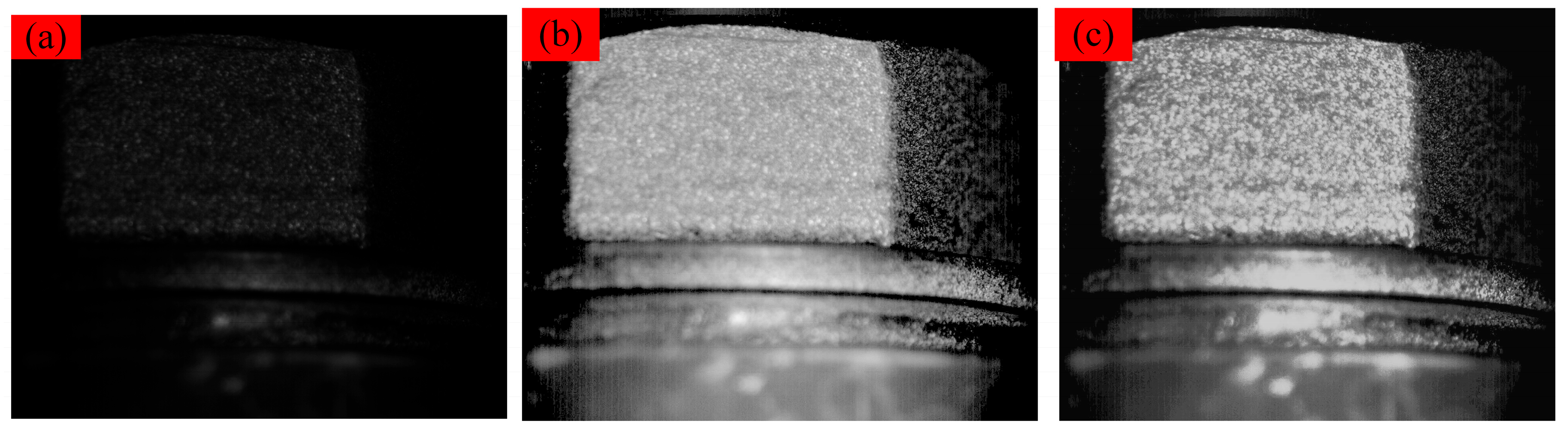 Sensors 24 05397 g010