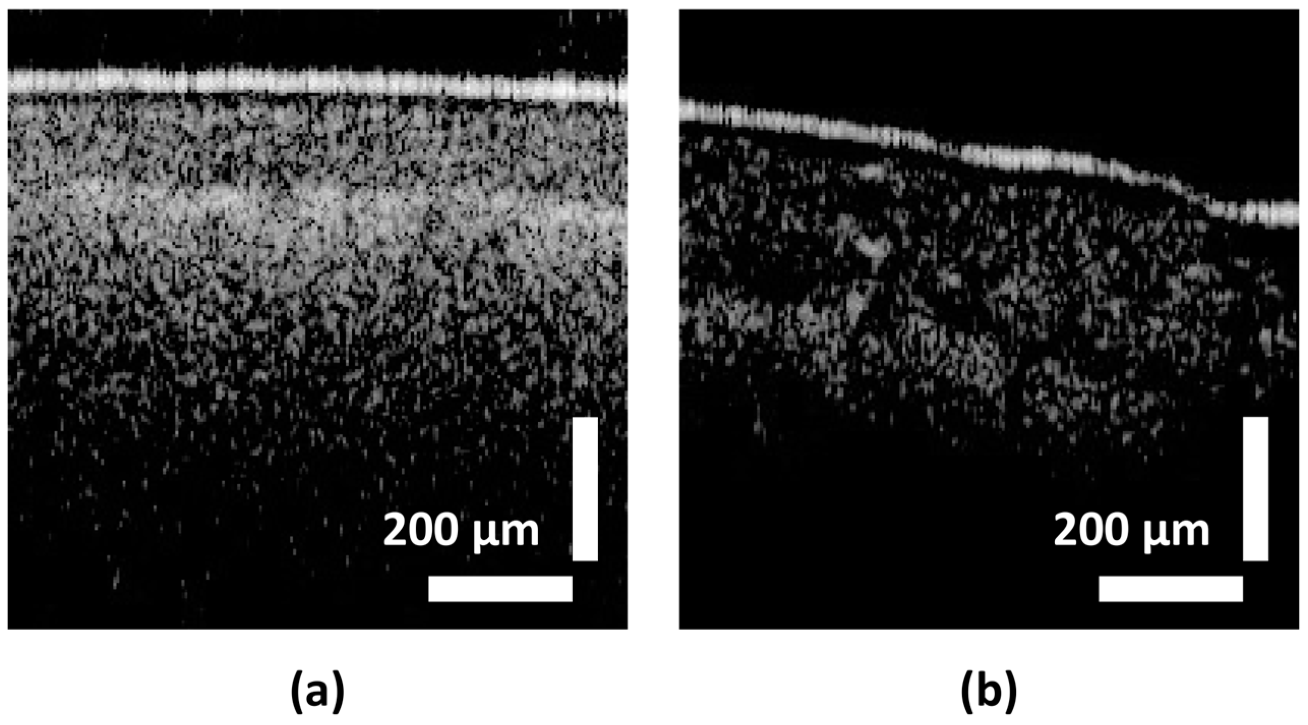 Sensors 24 05398 g005