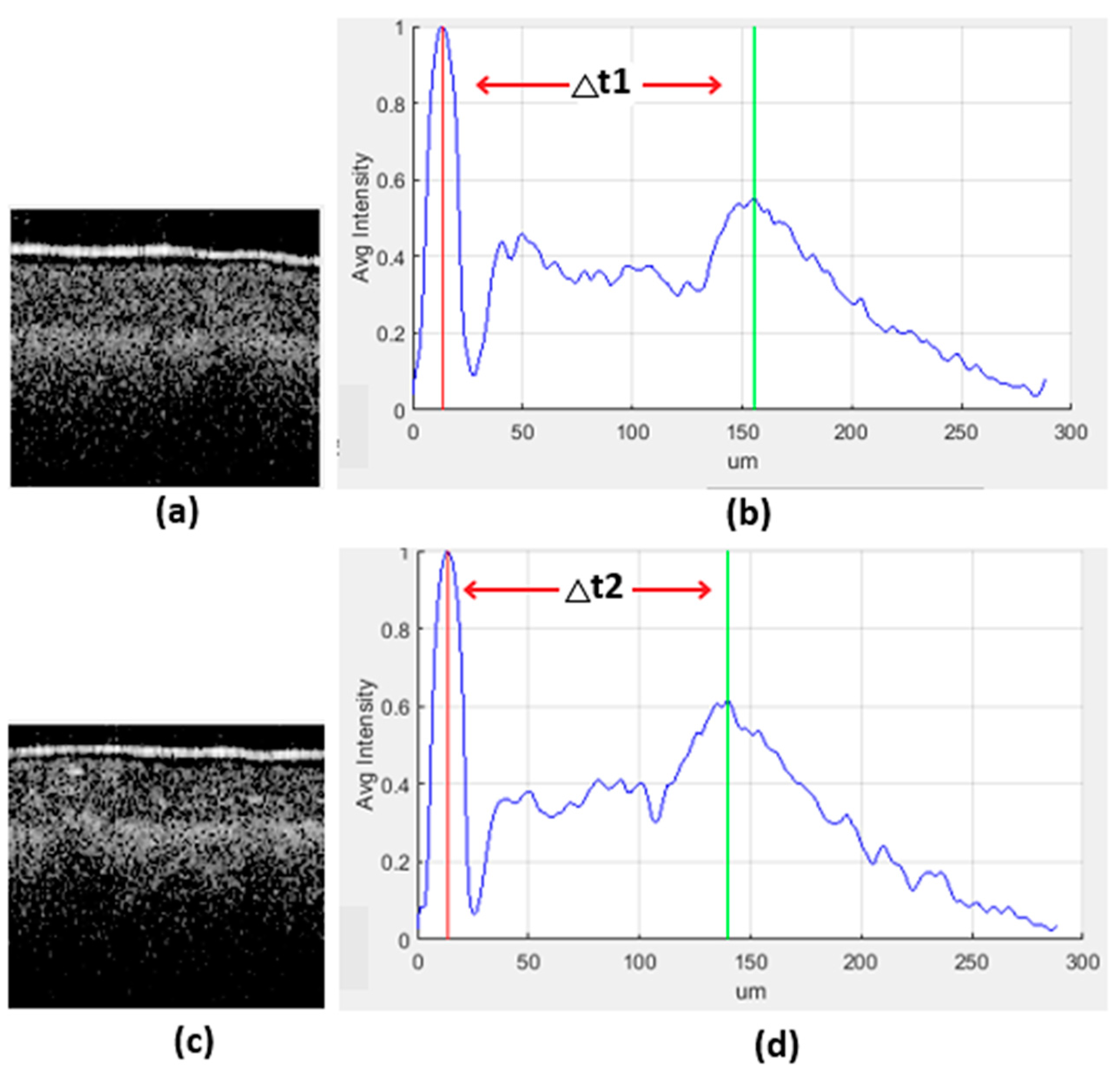 Sensors 24 05398 g012