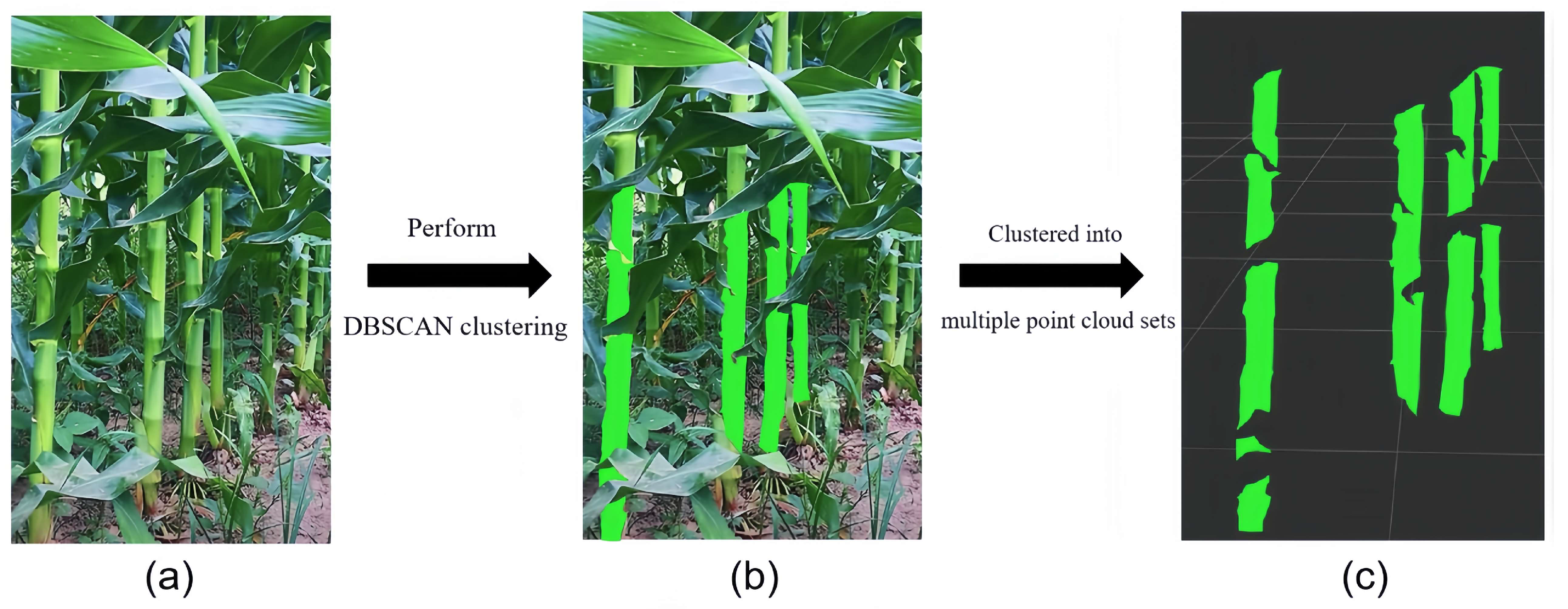 Sensors 24 05422 g005