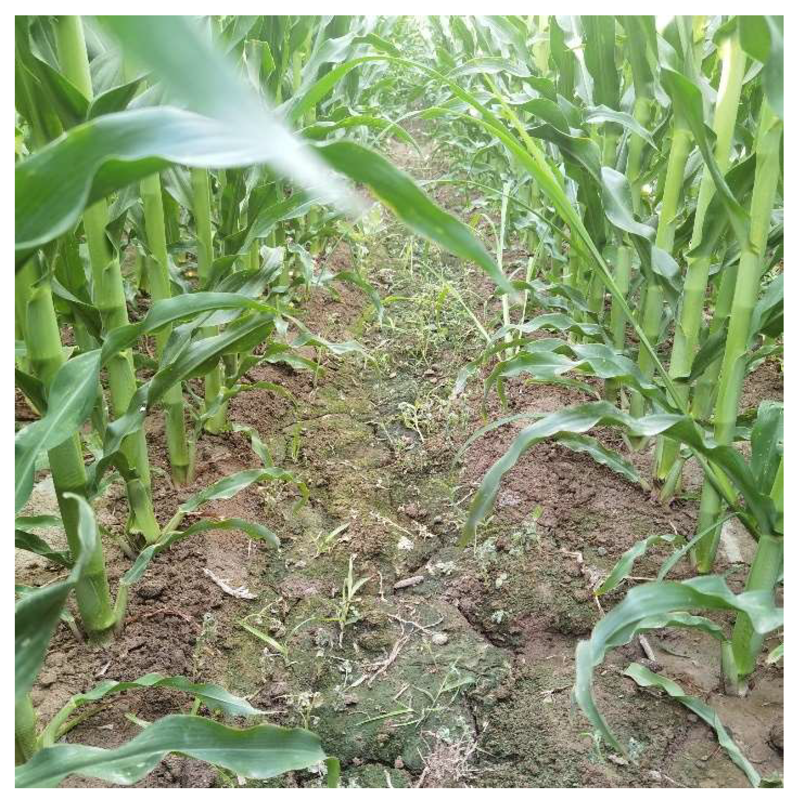 Sensors 24 05422 g020