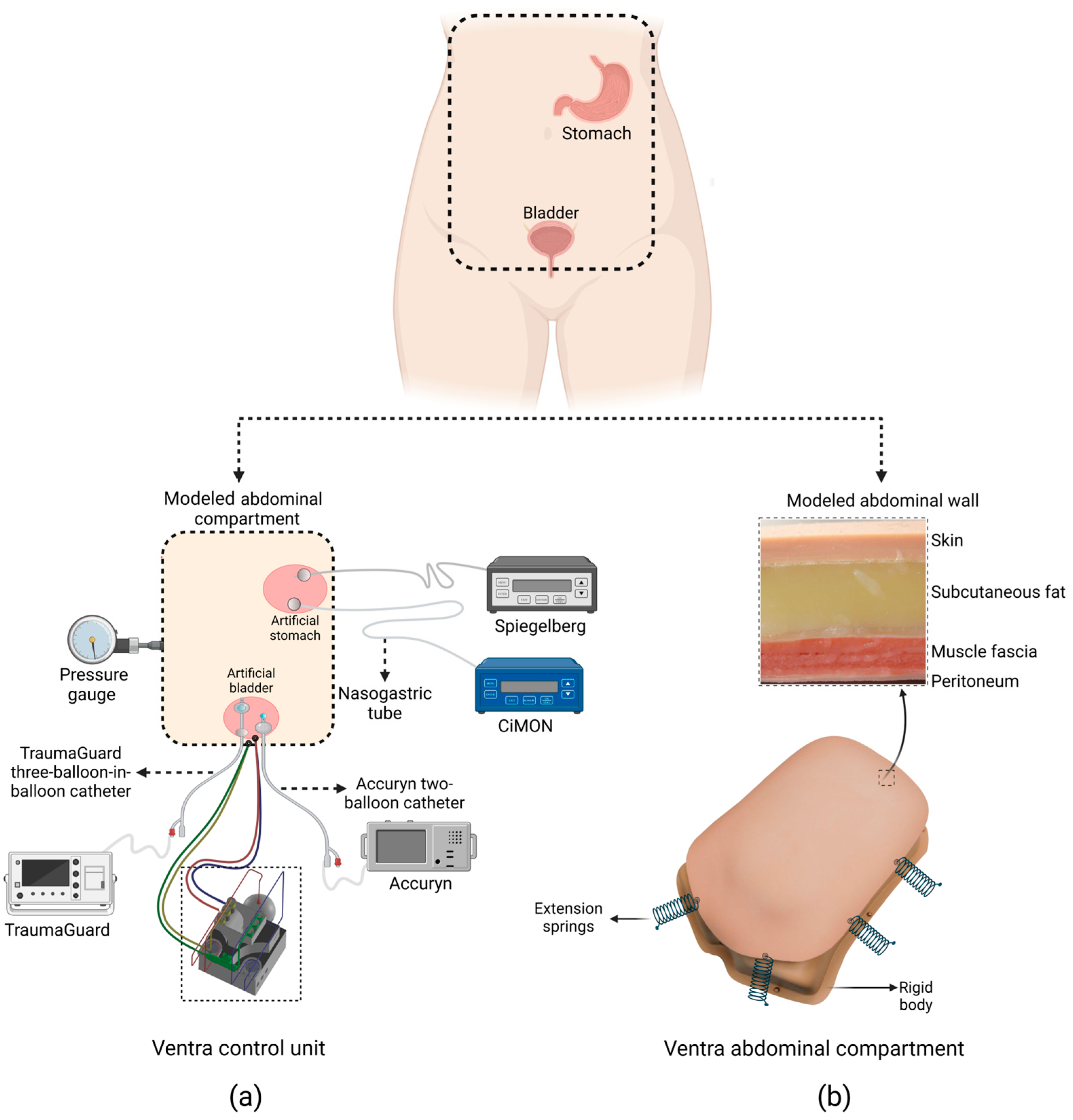 Sensors 24 05431 g001