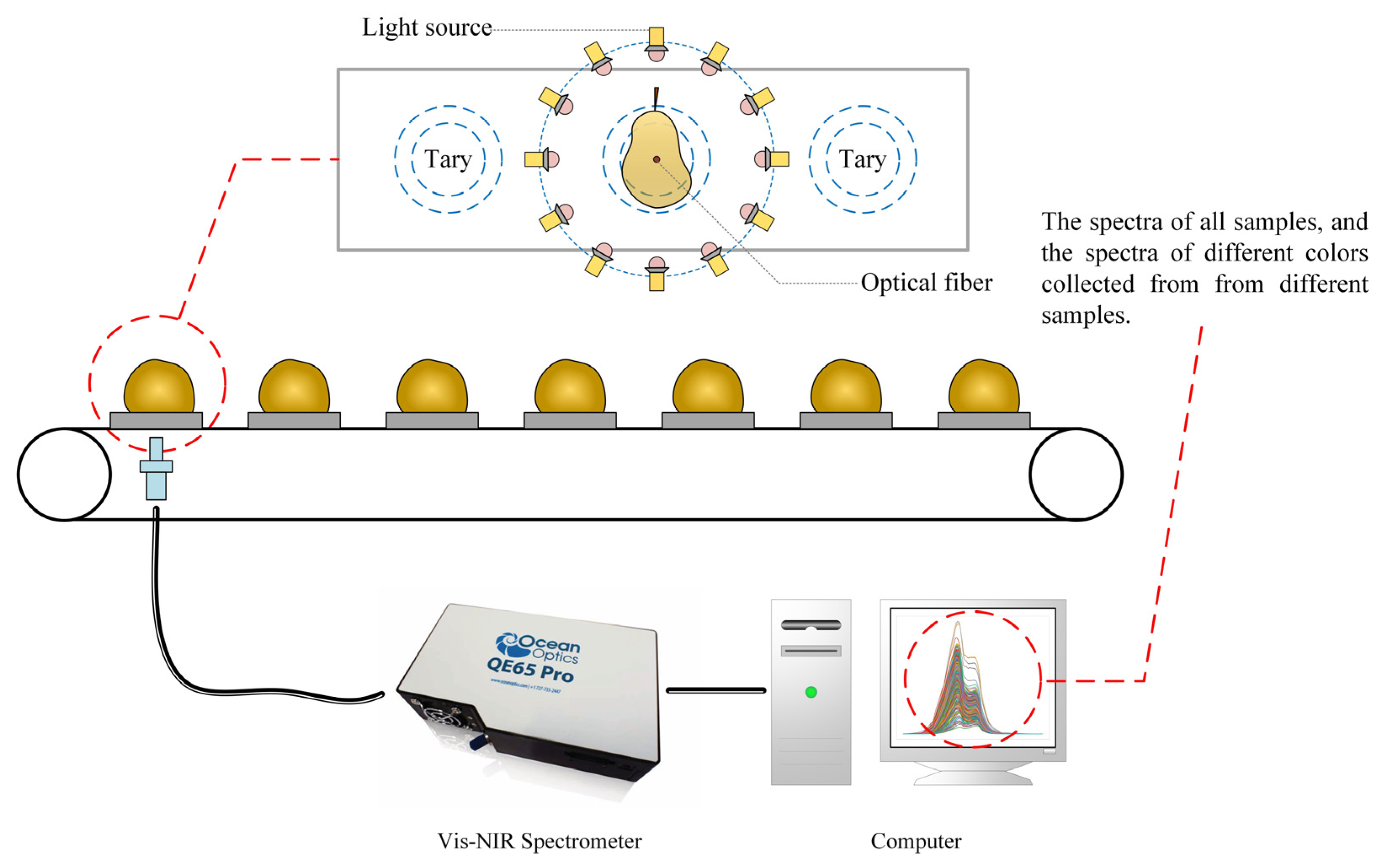 Sensors 24 05438 g002
