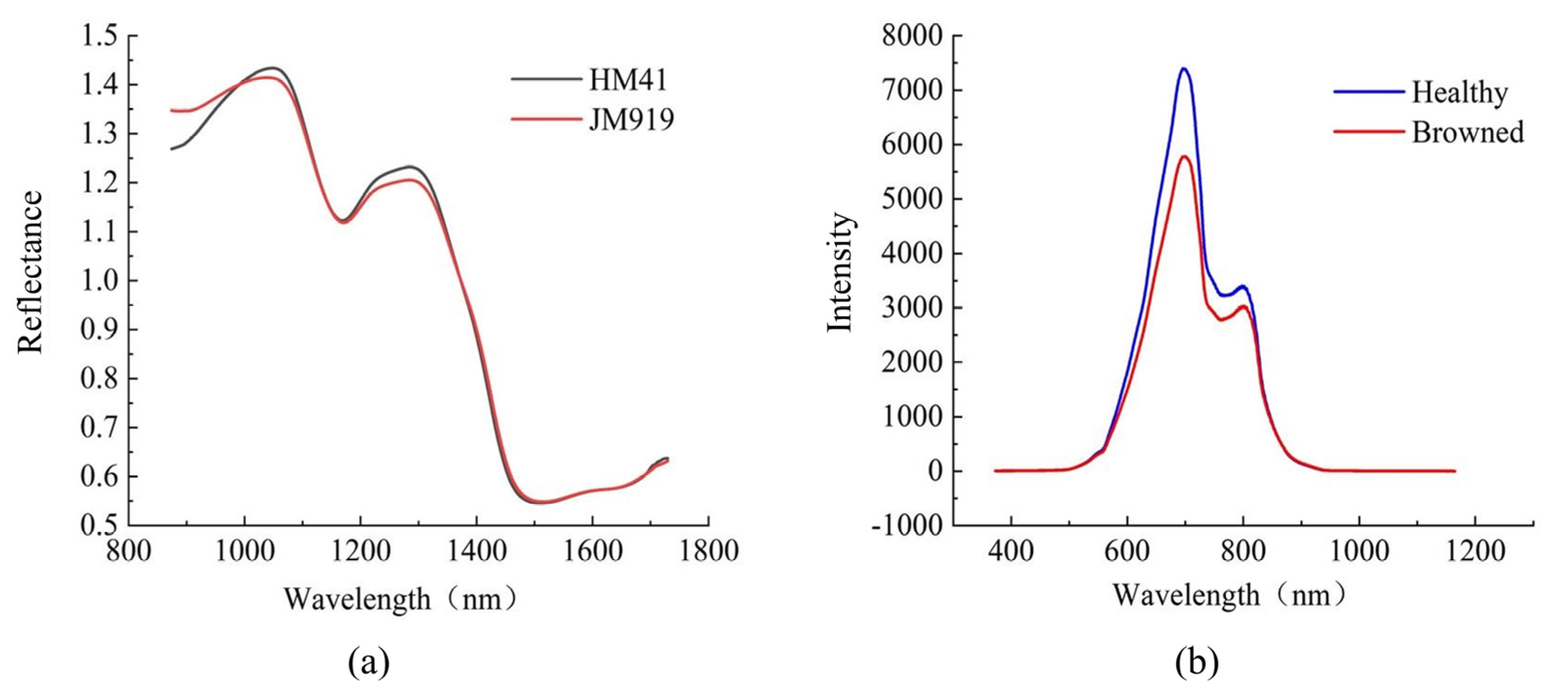 Sensors 24 05438 g004