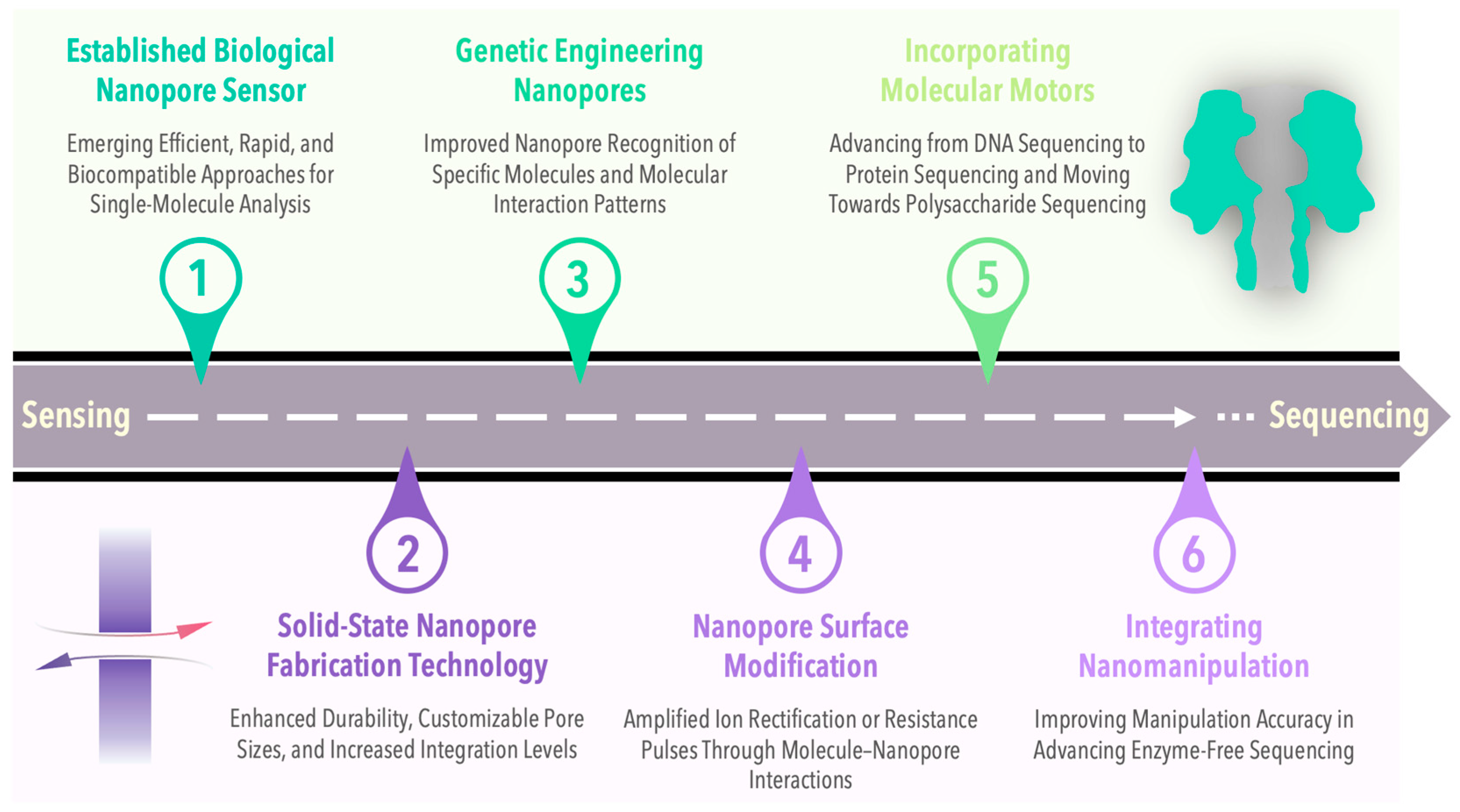 Sensors 24 05442 g001