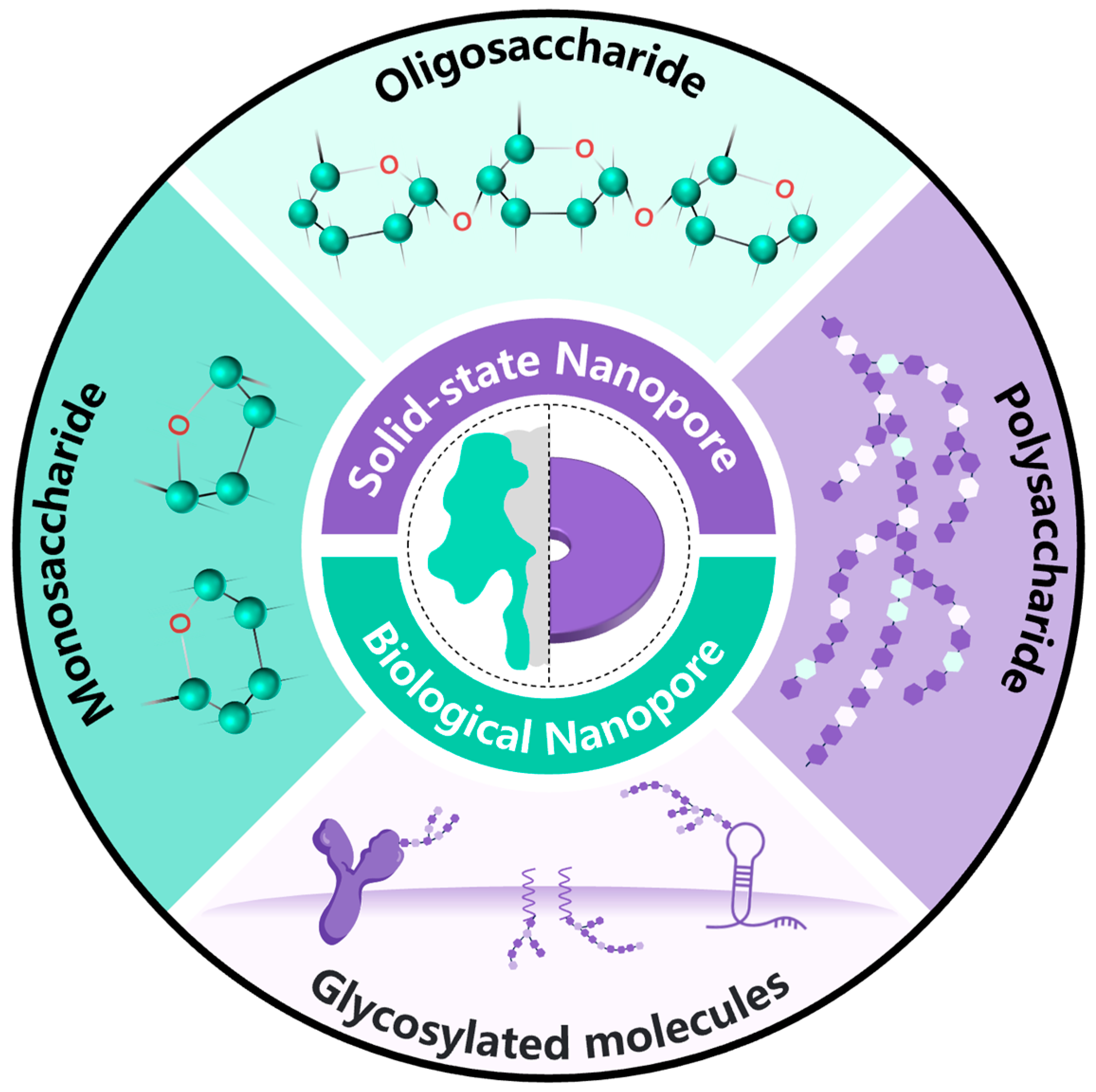 Sensors 24 05442 g002