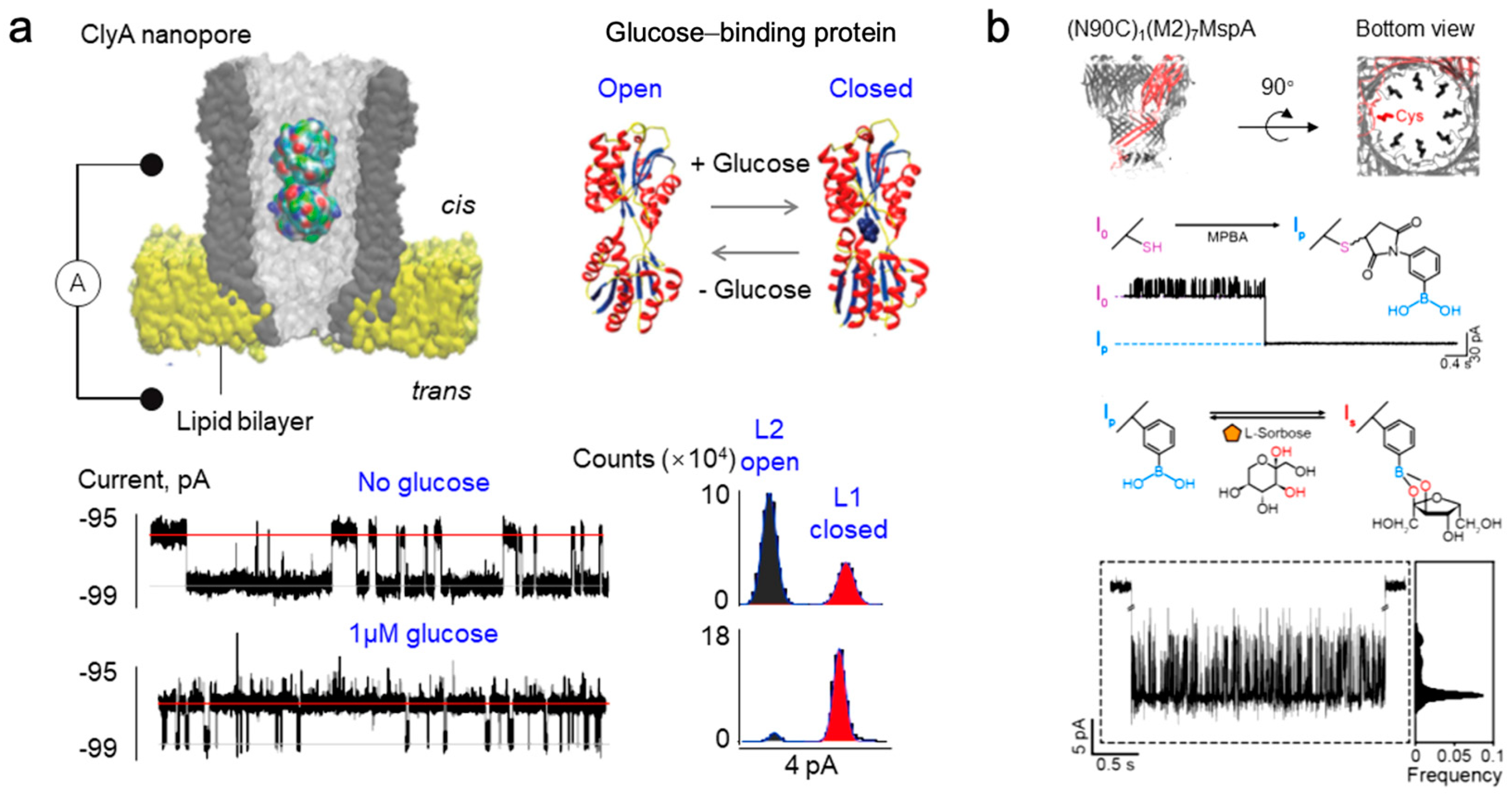 Sensors 24 05442 g004