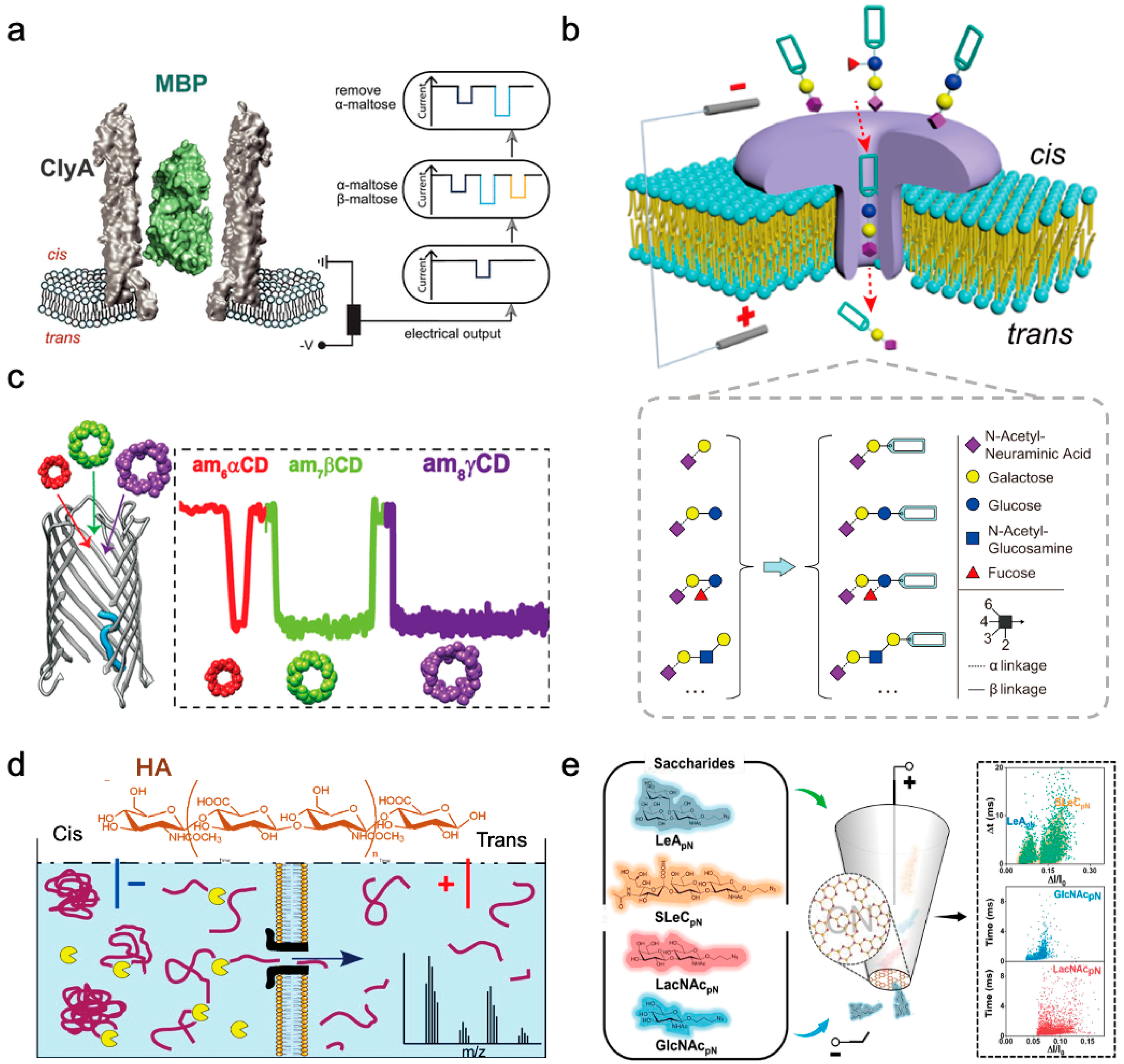 Sensors 24 05442 g006