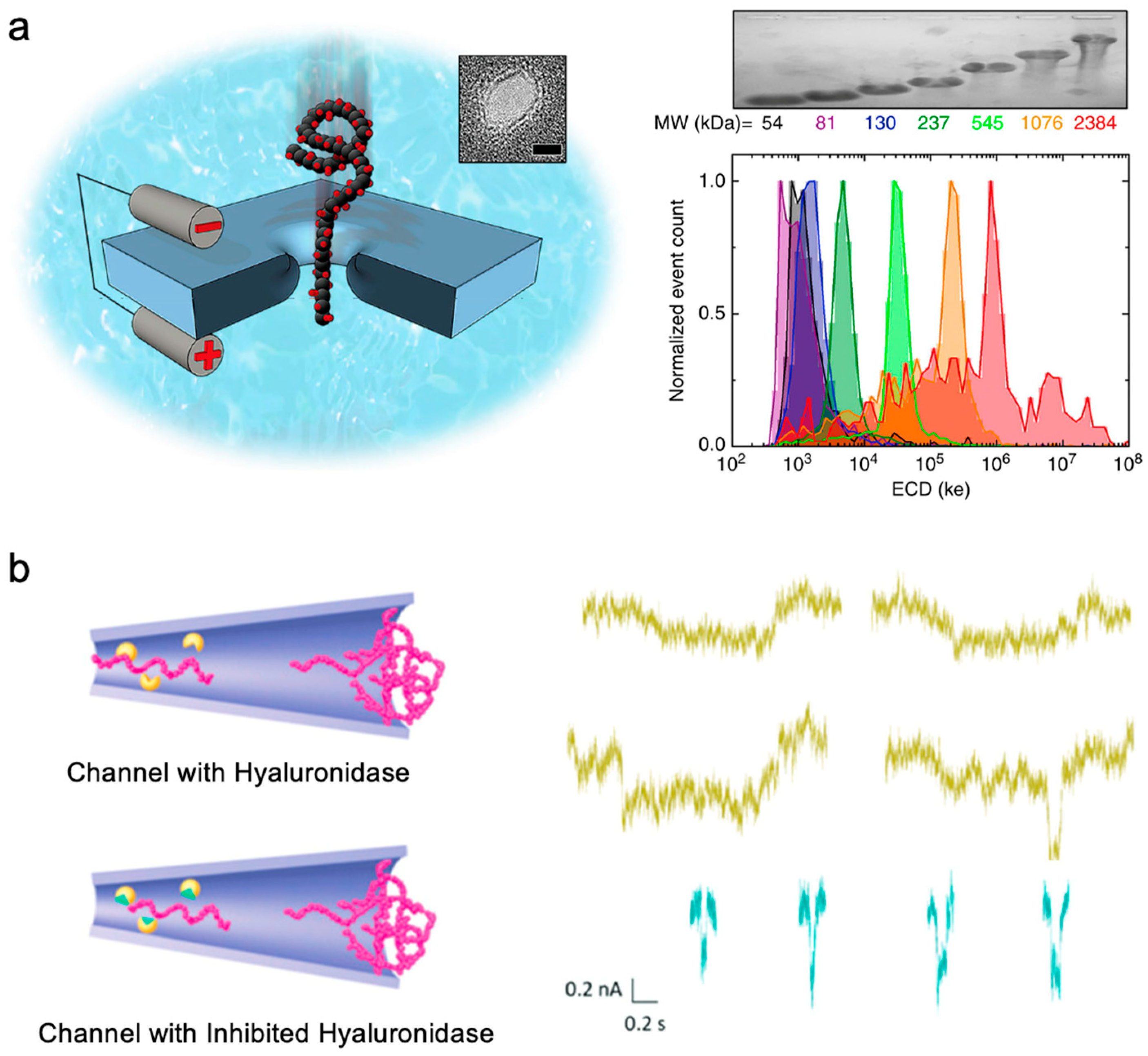 Sensors 24 05442 g008