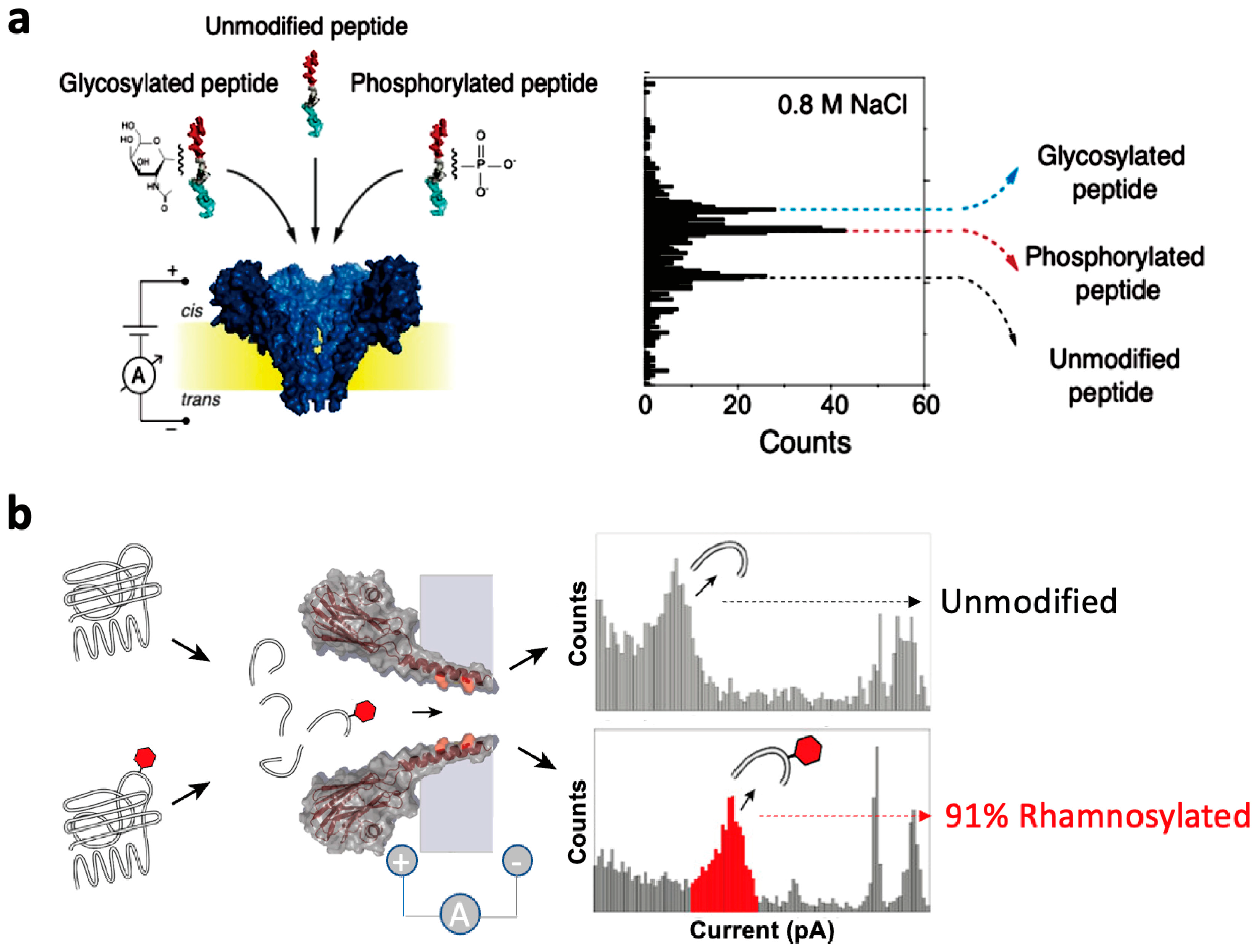 Sensors 24 05442 g010