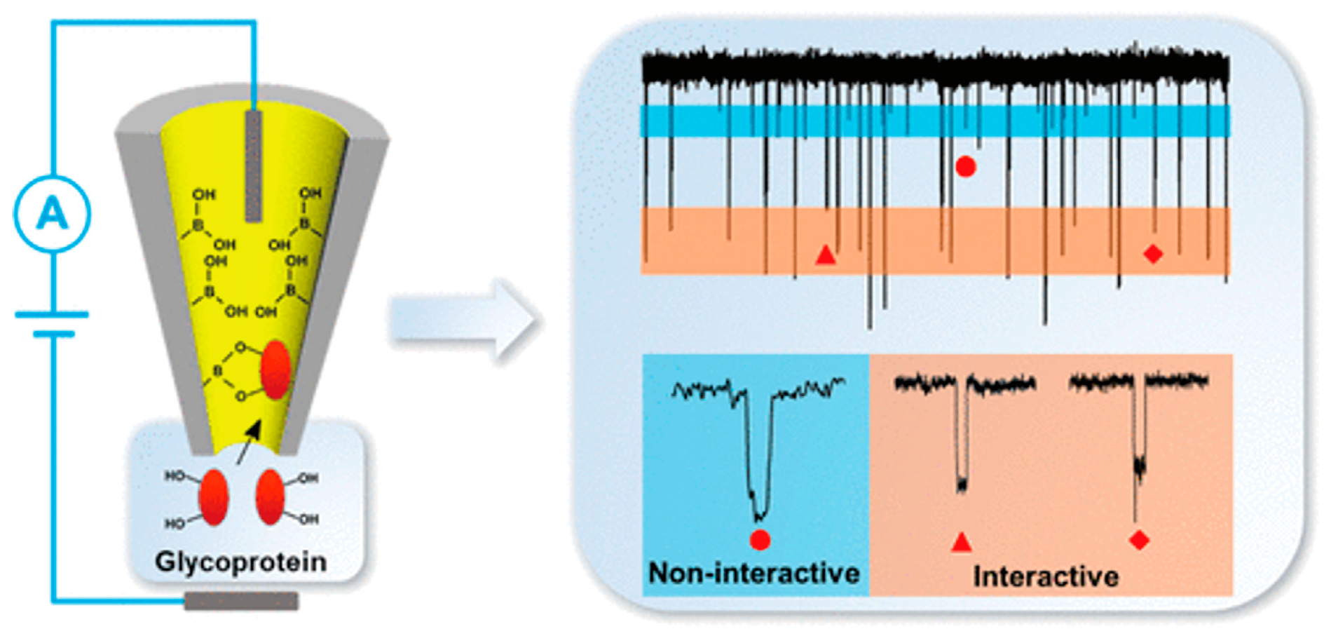 Sensors 24 05442 g011