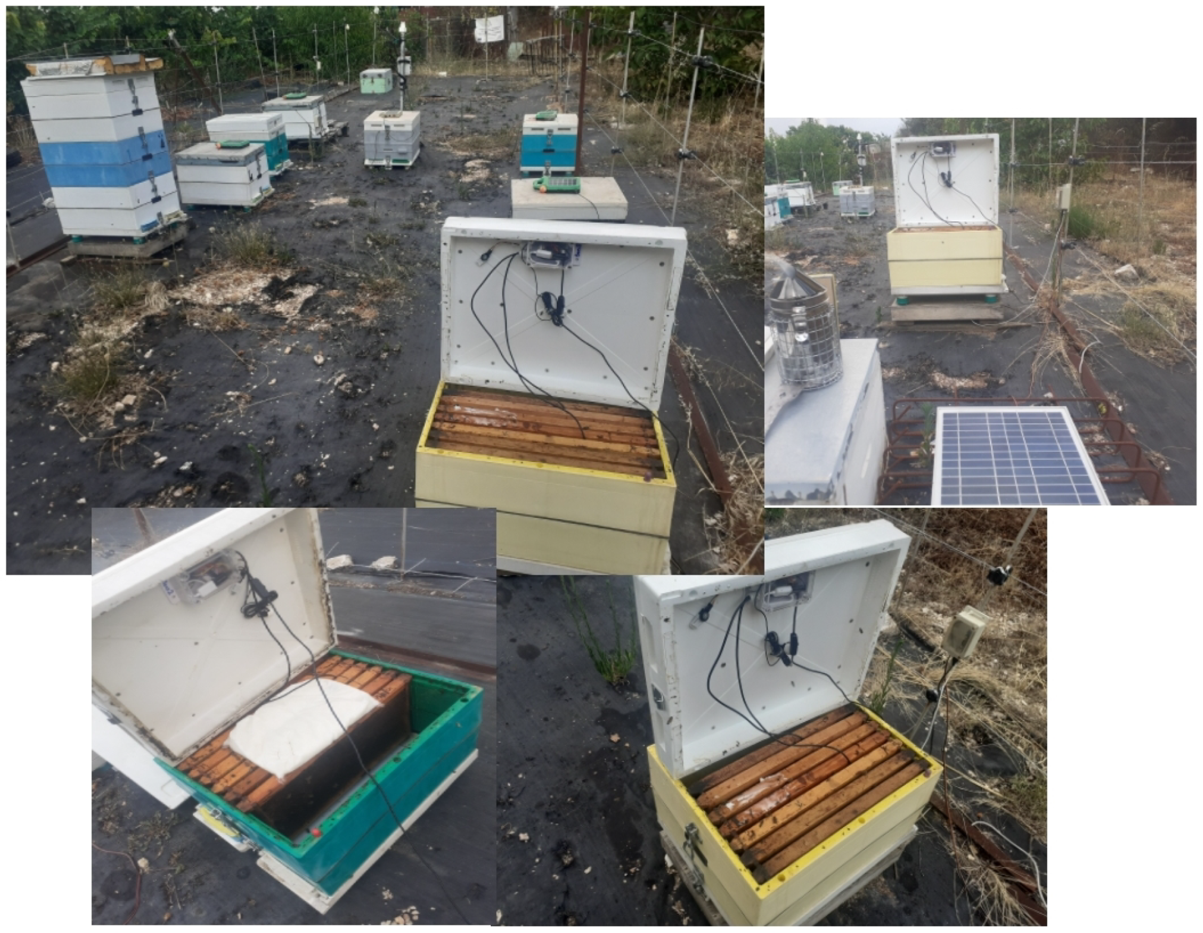 Sensors 24 05444 g007