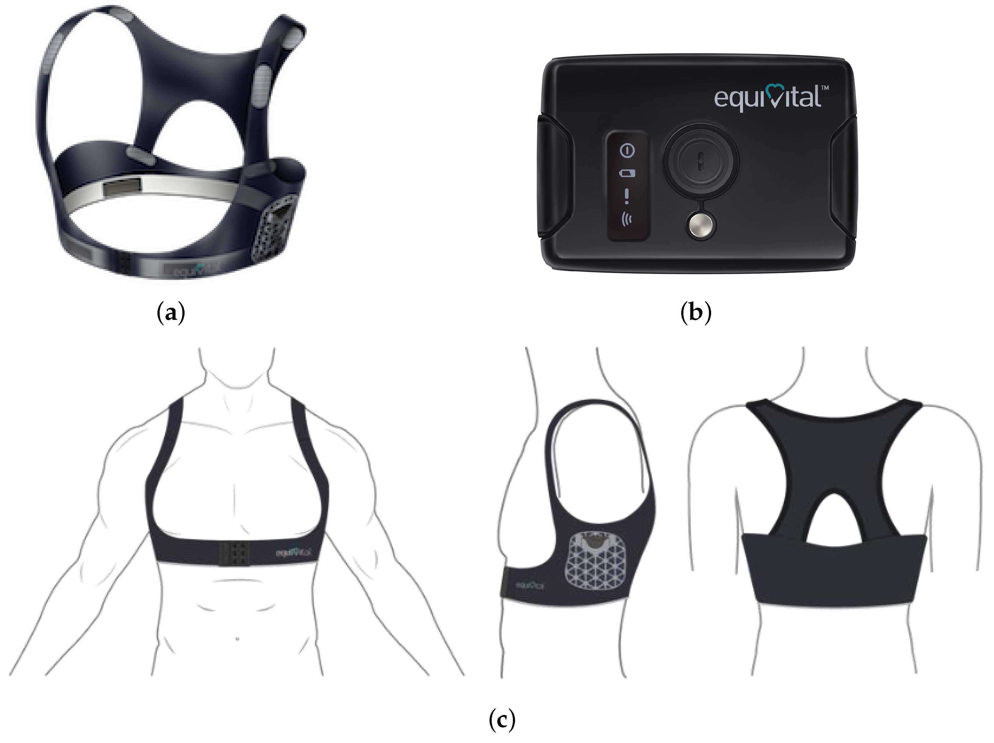 Sensors 24 05479 g002