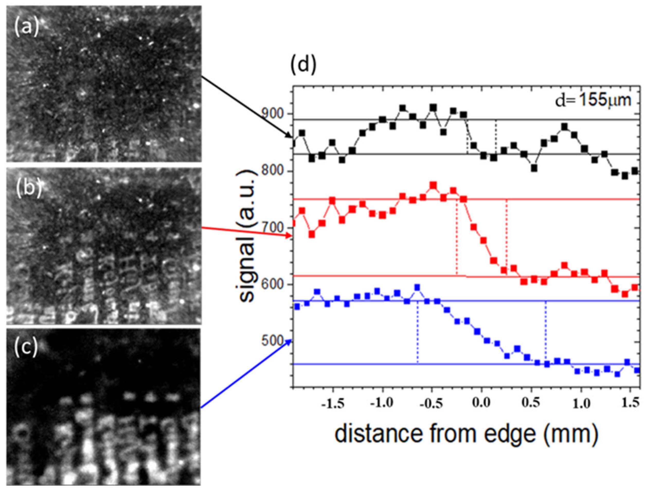 Sensors 24 05493 g008