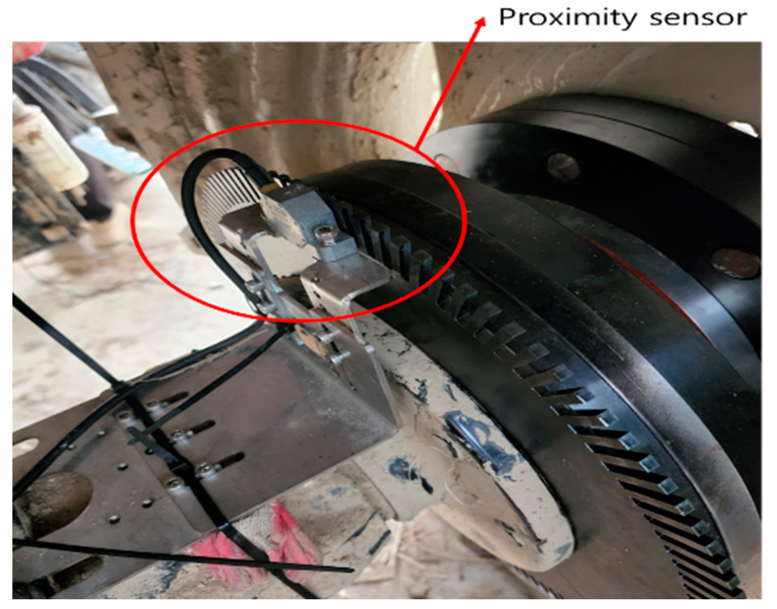 Sensors 24 05494 g007