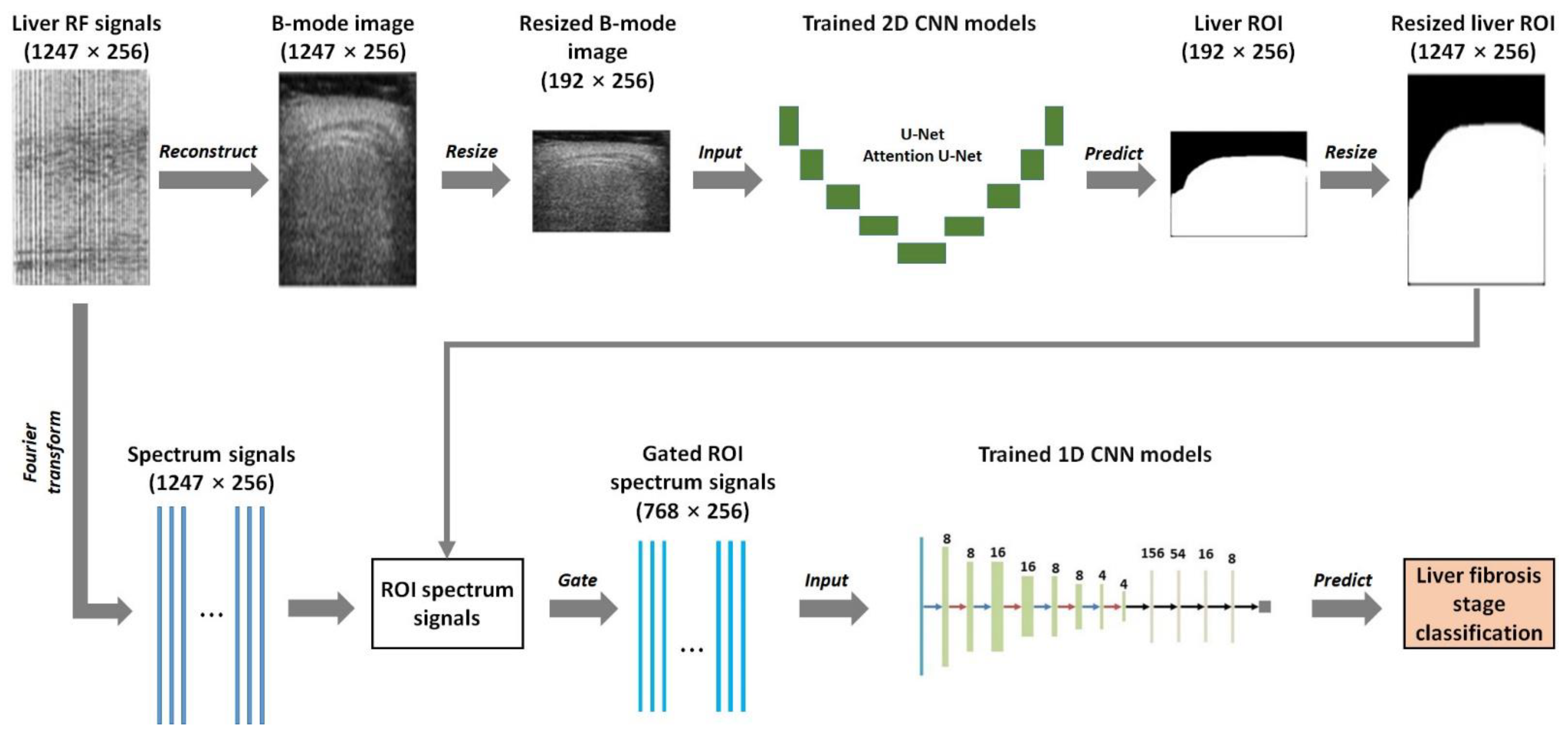 Sensors 24 05513 g001