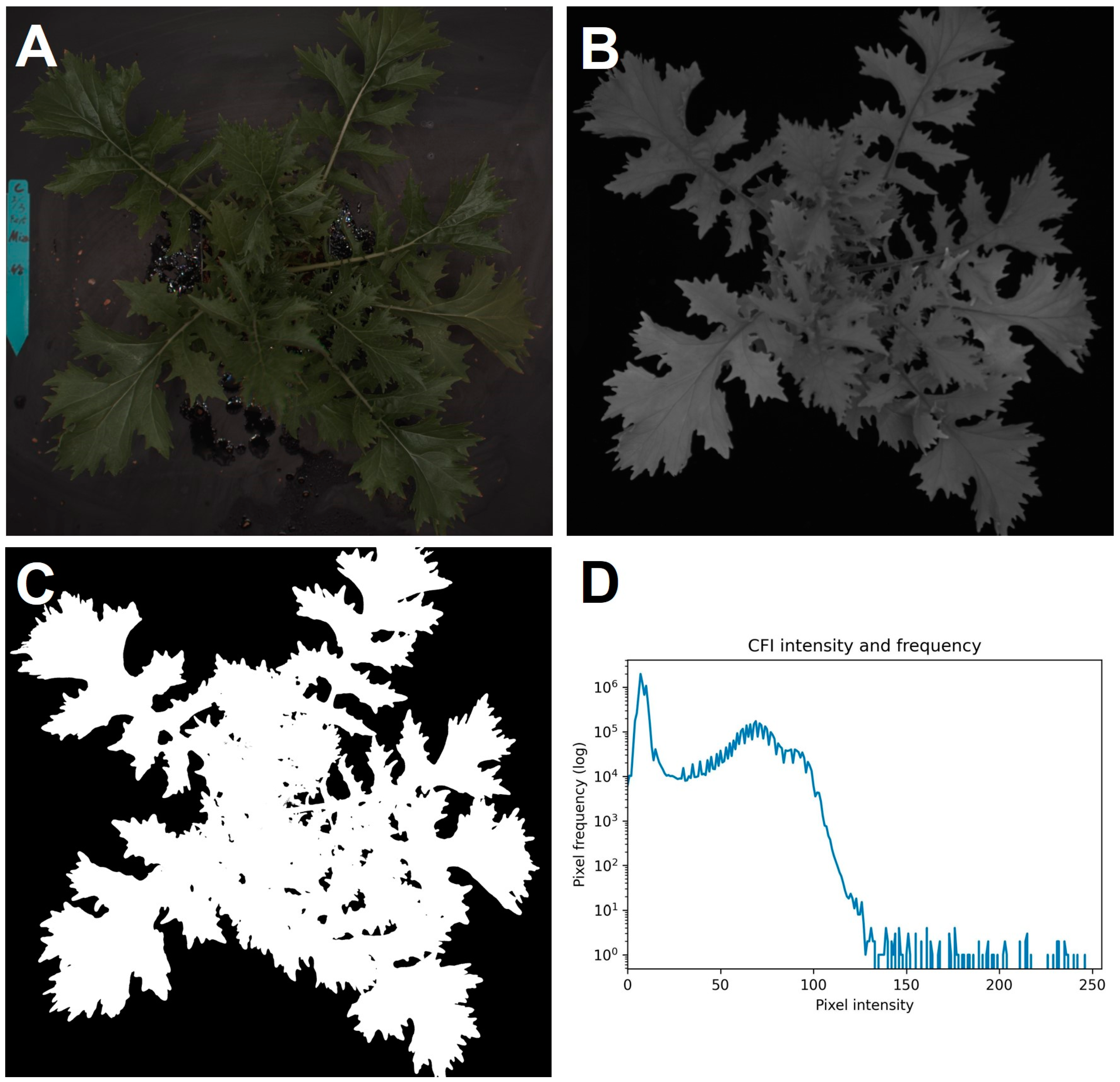 Sensors 24 05515 g003