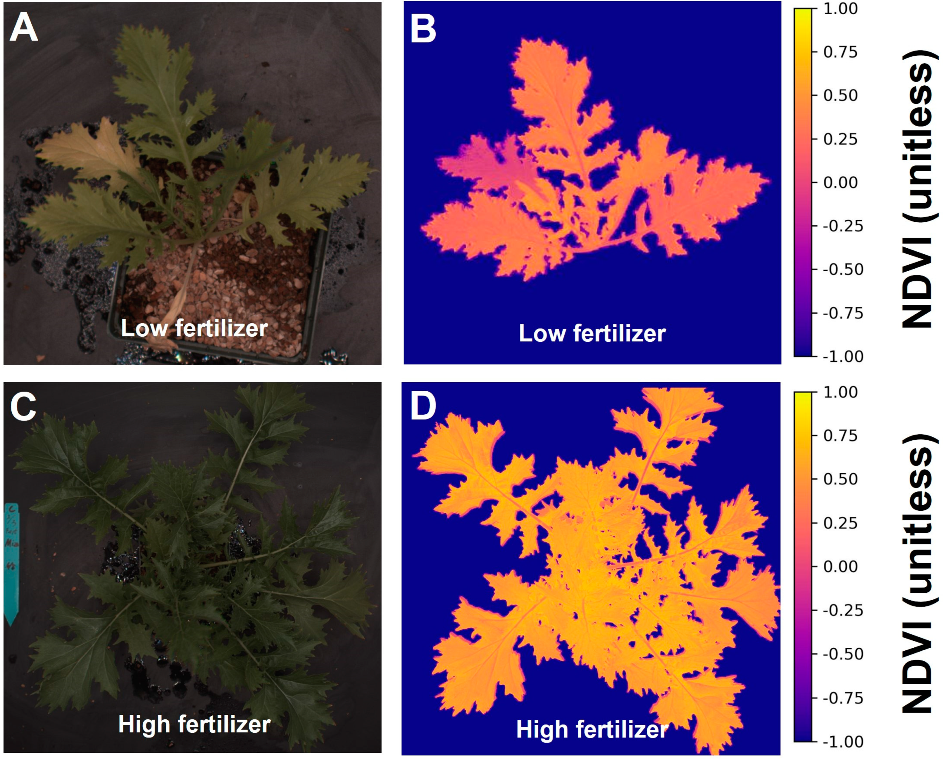 Sensors 24 05515 g004