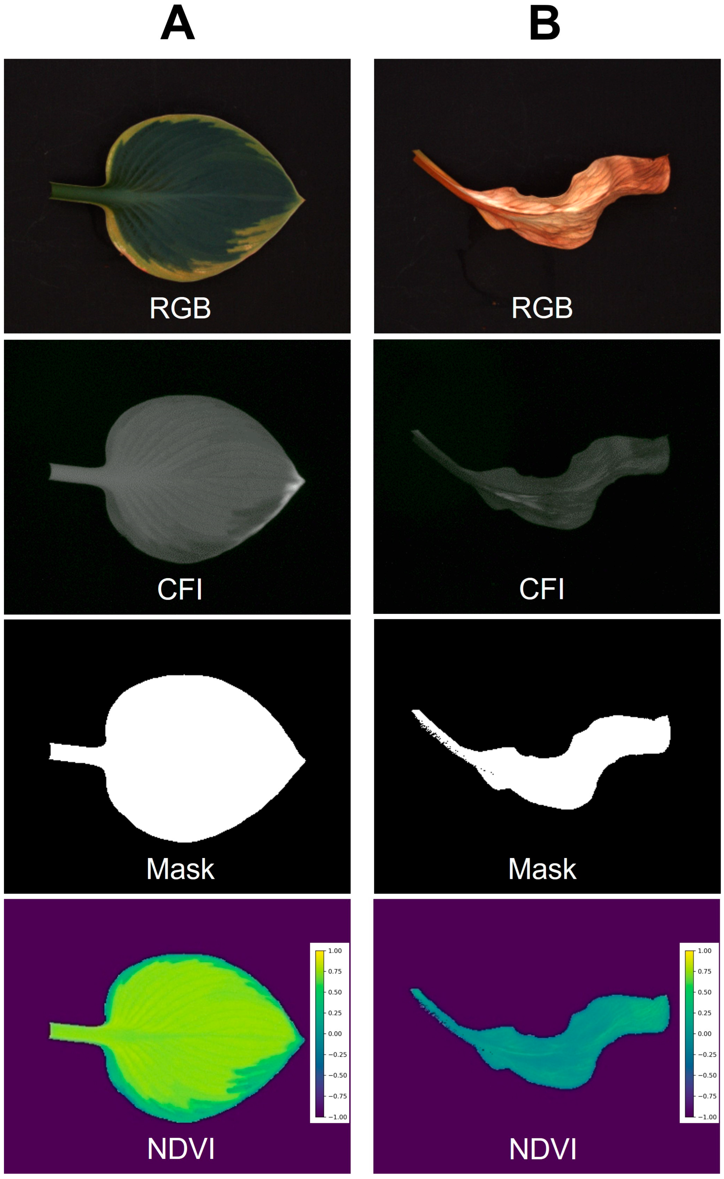 Sensors 24 05515 g006