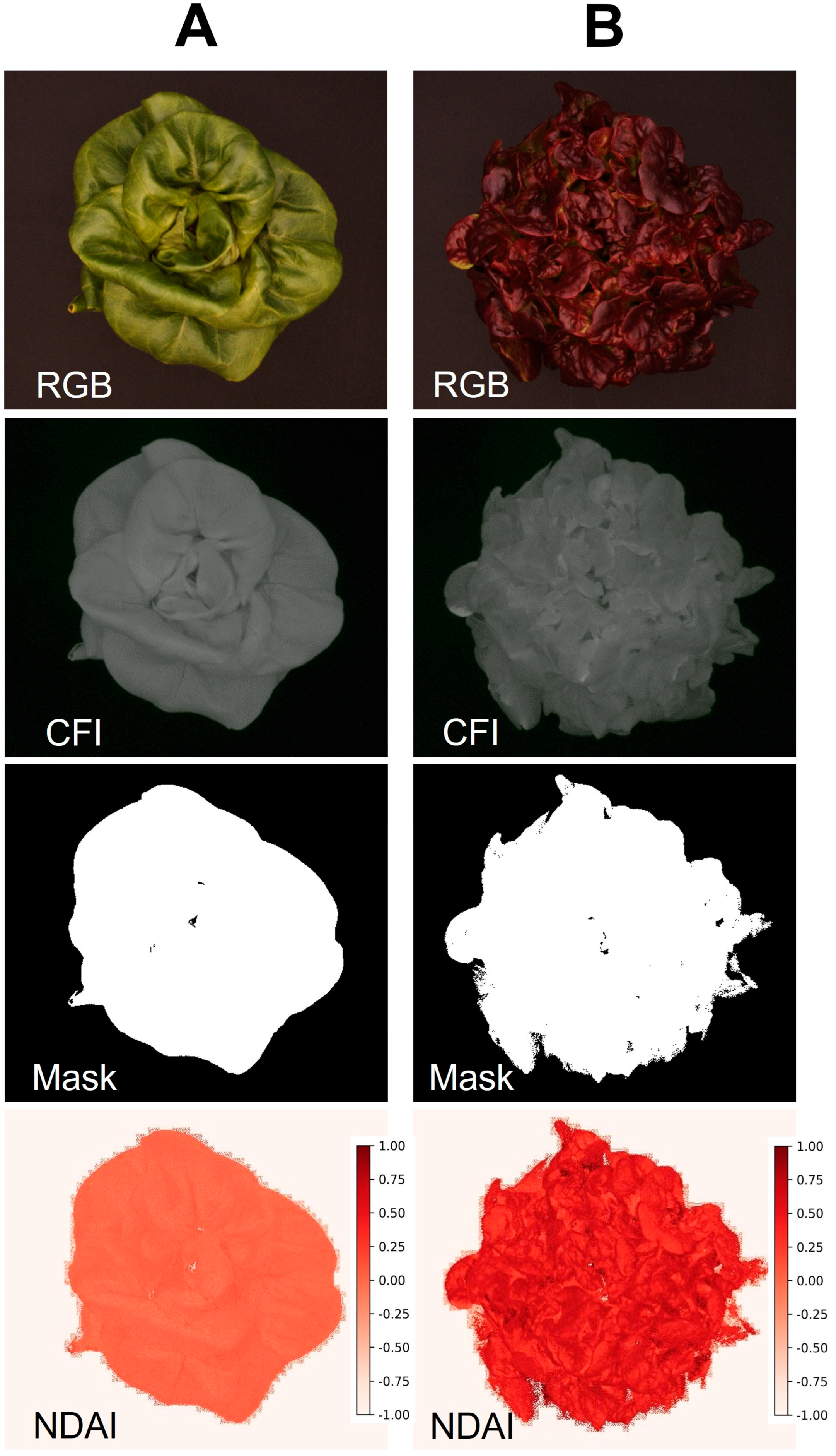 Sensors 24 05515 g007