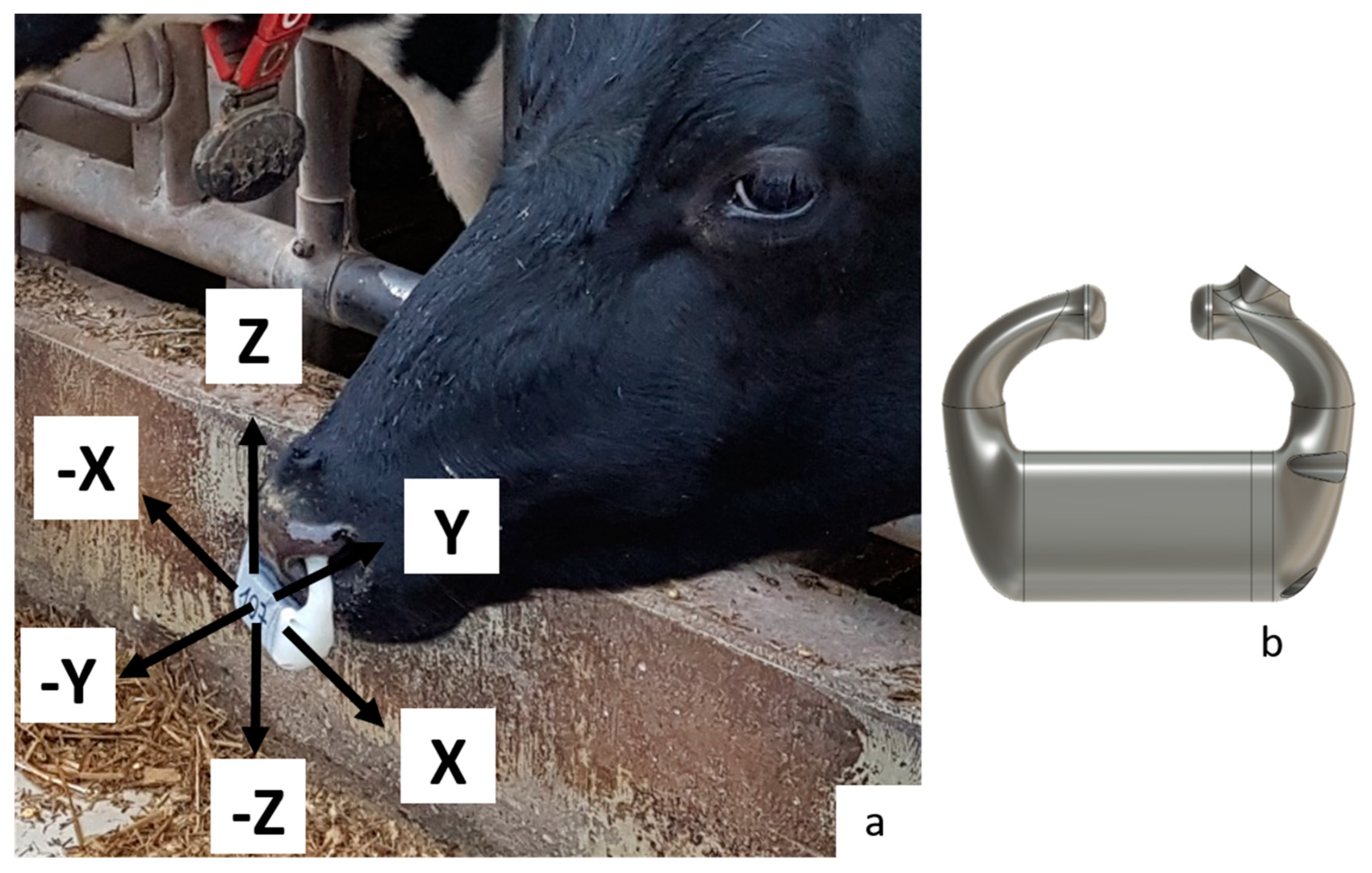 Sensors 24 05521 g001