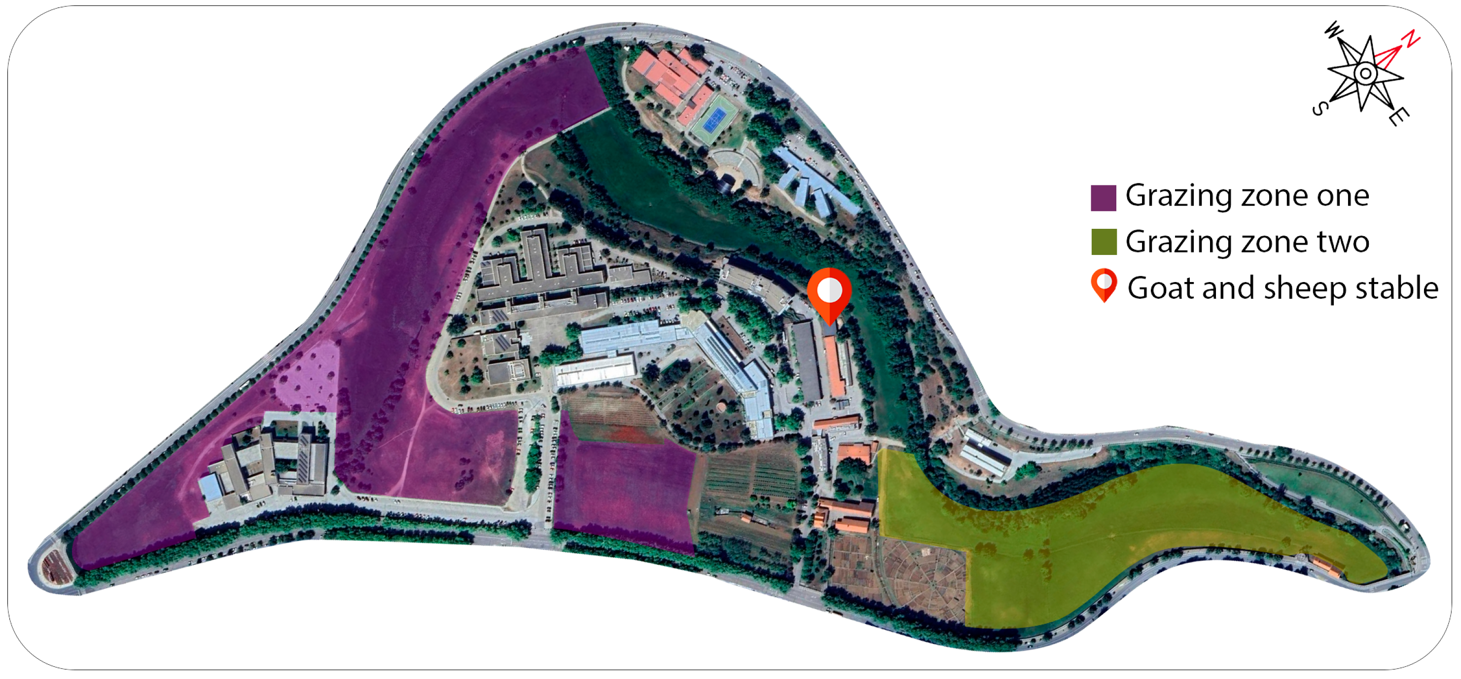 Sensors 24 05528 g006