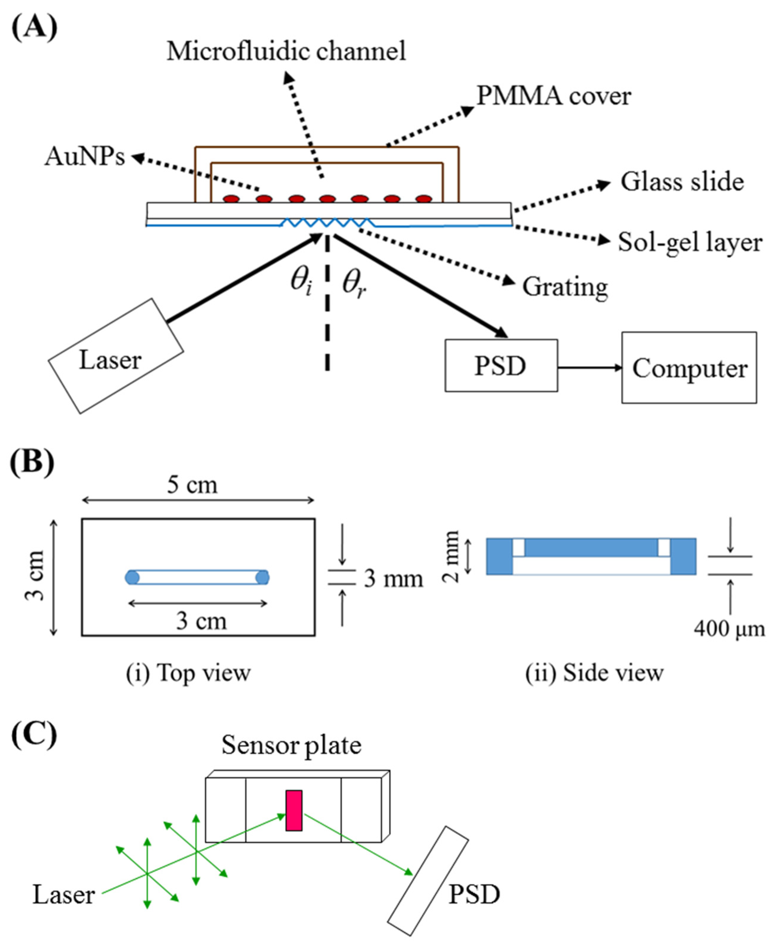 Sensors 24 05536 g001