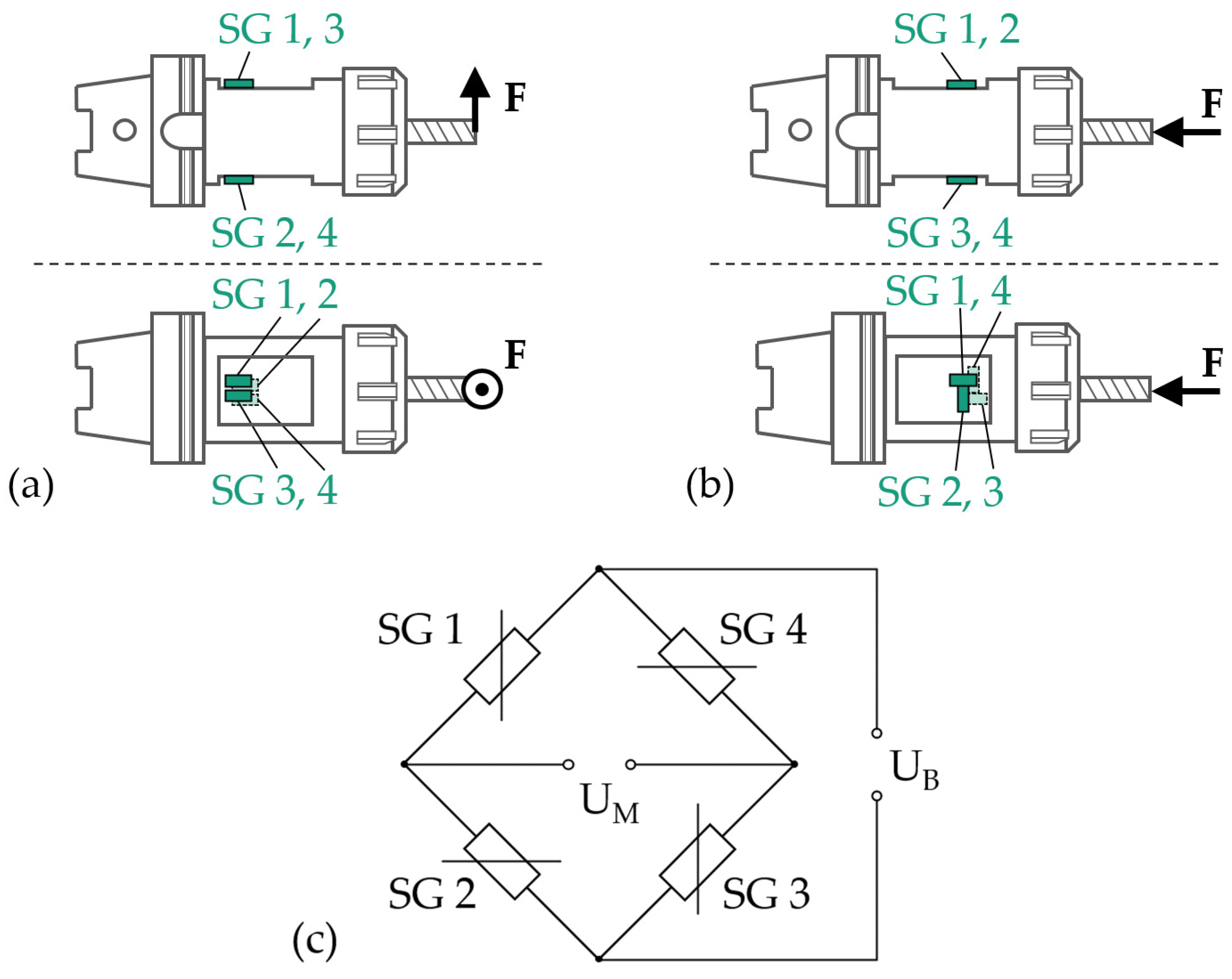 Sensors 24 05542 g001