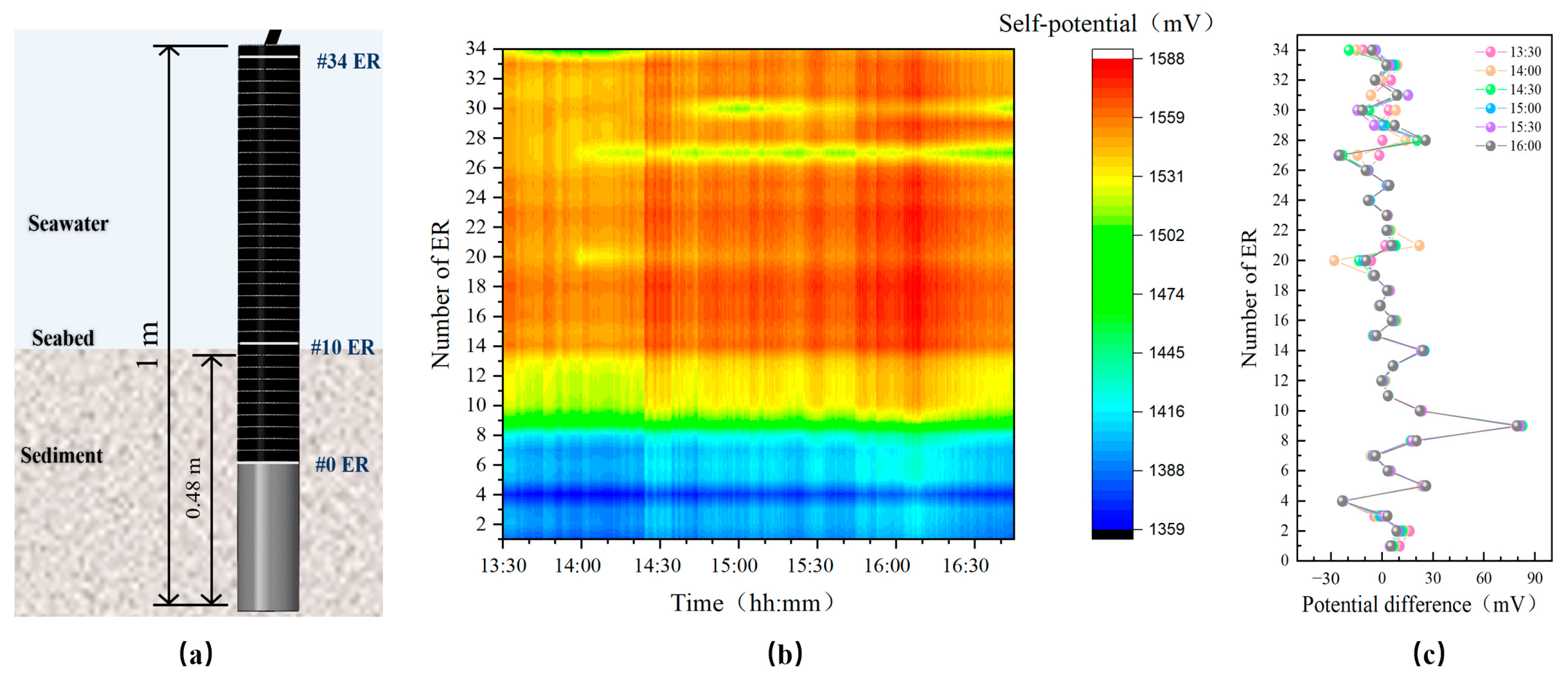 Sensors 24 05563 g013