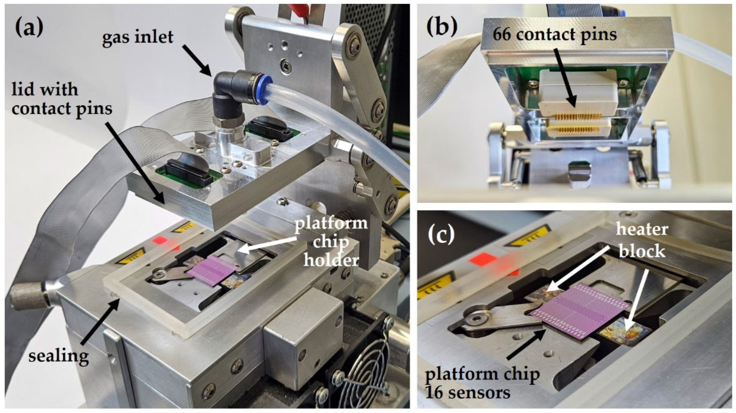 Sensors 24 05565 g002 Sensors 24 05565 g002