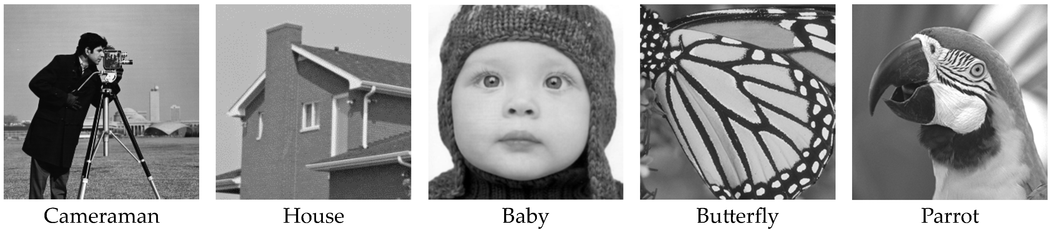 Sensors 24 05566 g007