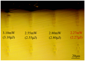 Sensors 24 05570 i001
