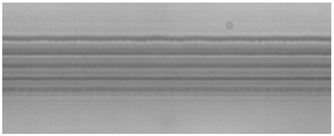 Sensors 24 05570 i008