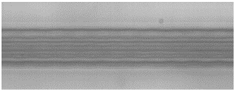 Sensors 24 05570 i009