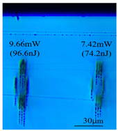 Sensors 24 05570 i011