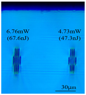 Sensors 24 05570 i012