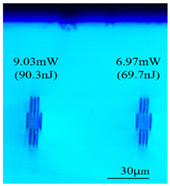 Sensors 24 05570 i013