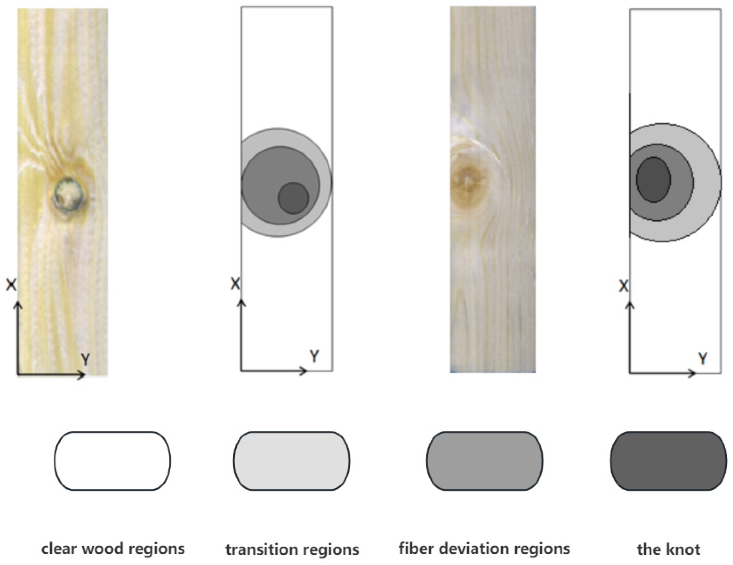Sensors 24 05572 g001