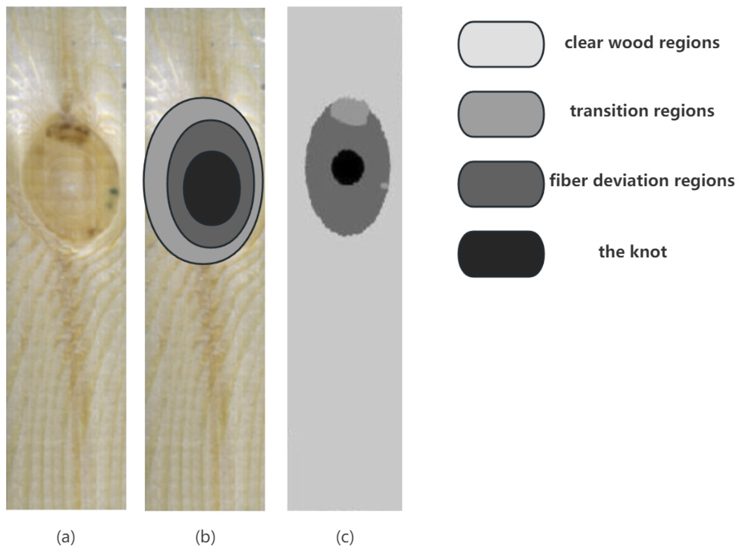 Sensors 24 05572 g005