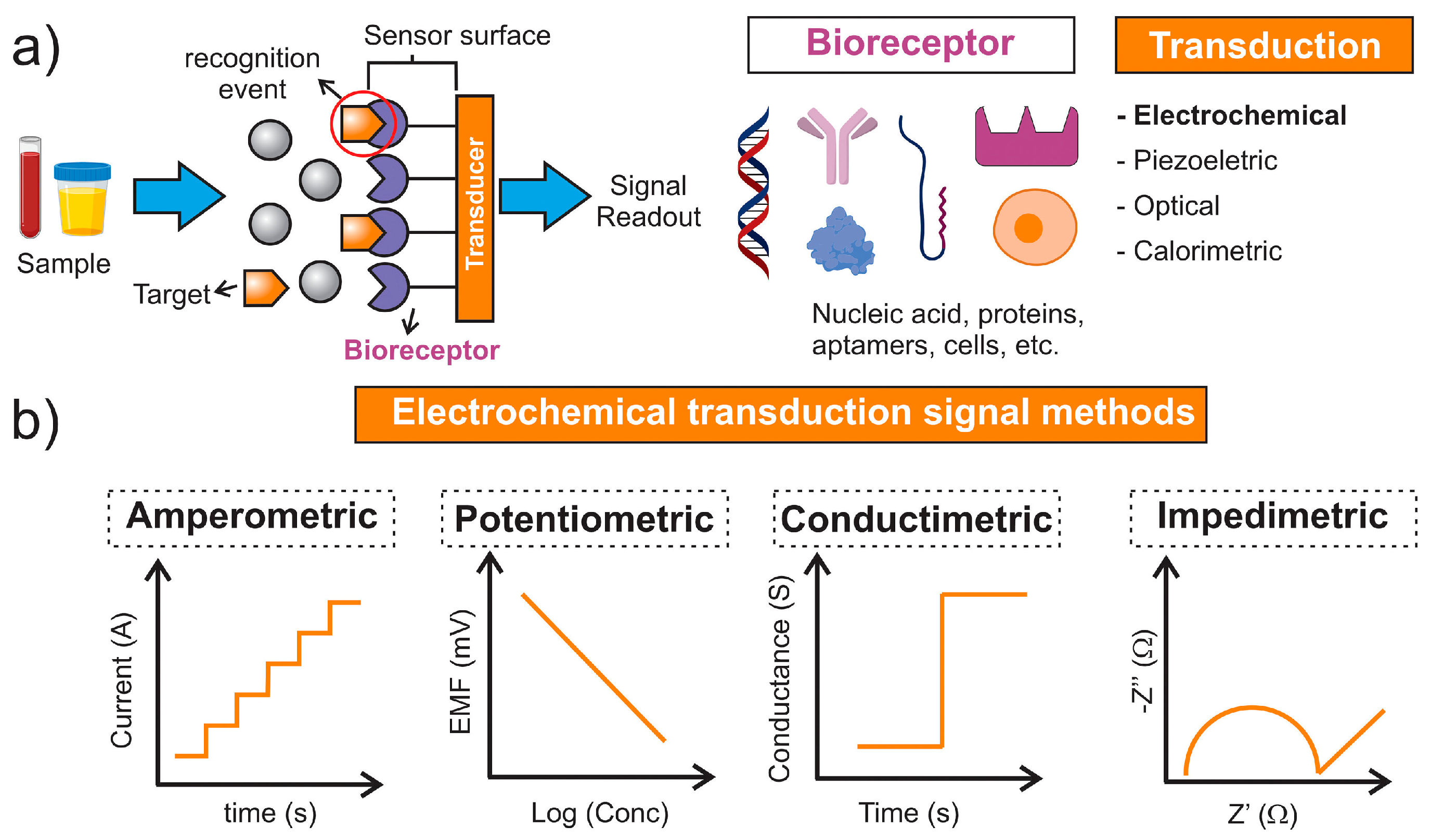 Sensors 24 05576 g001