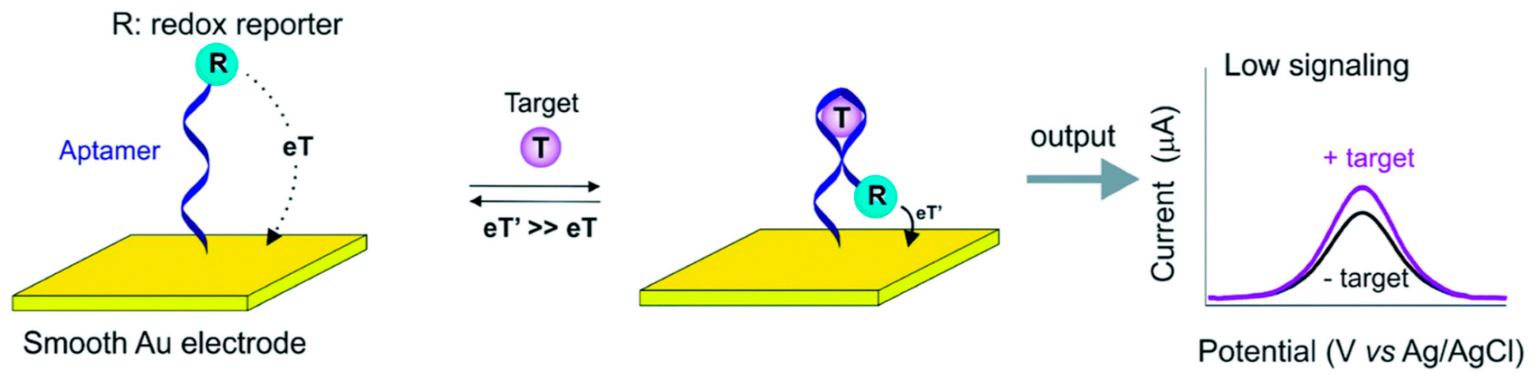 Sensors 24 05576 g002