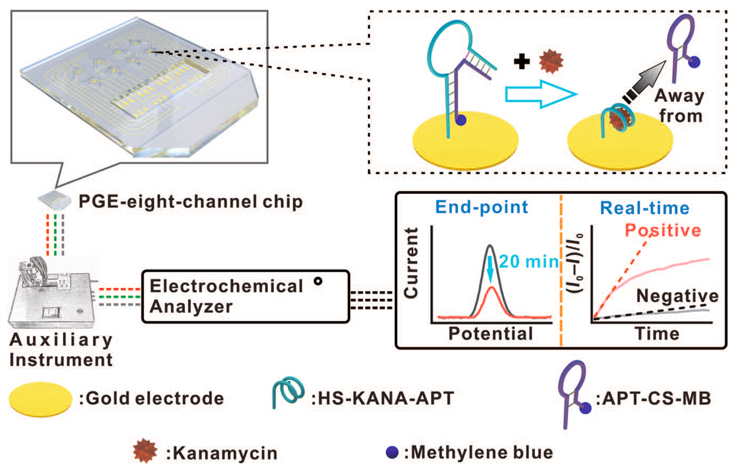 Sensors 24 05576 g003