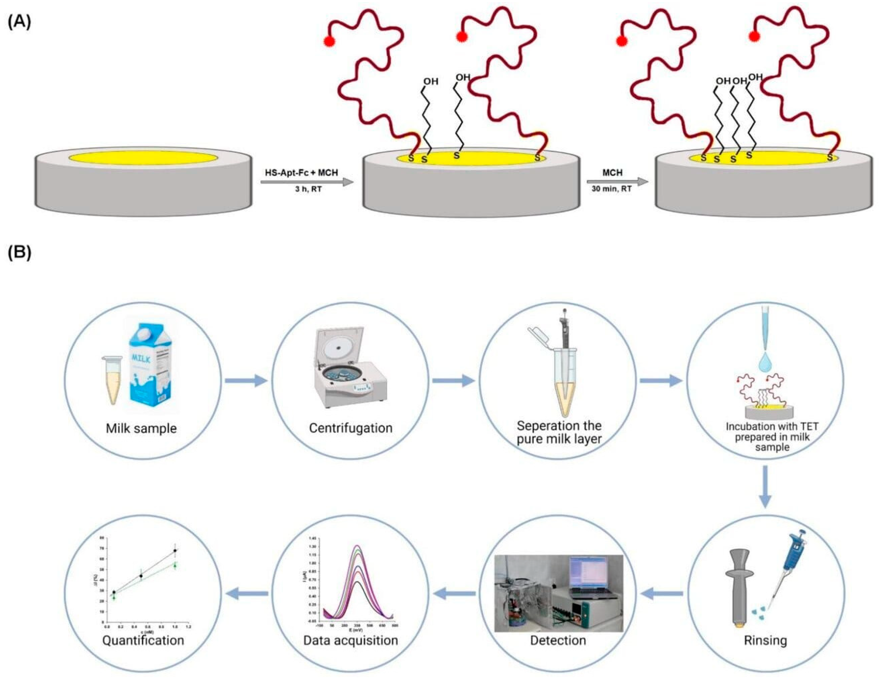 Sensors 24 05576 g004
