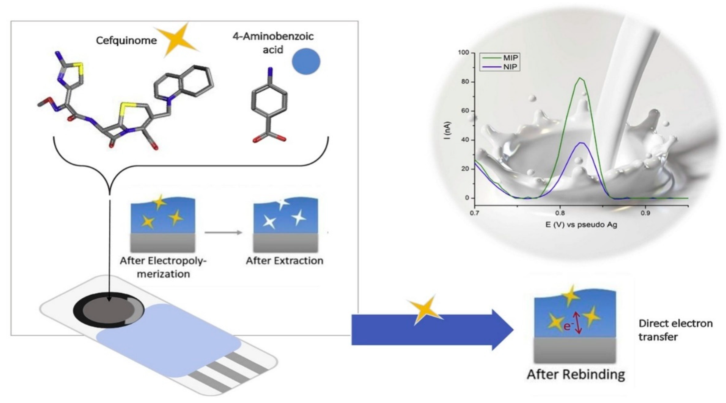 Sensors 24 05576 g005