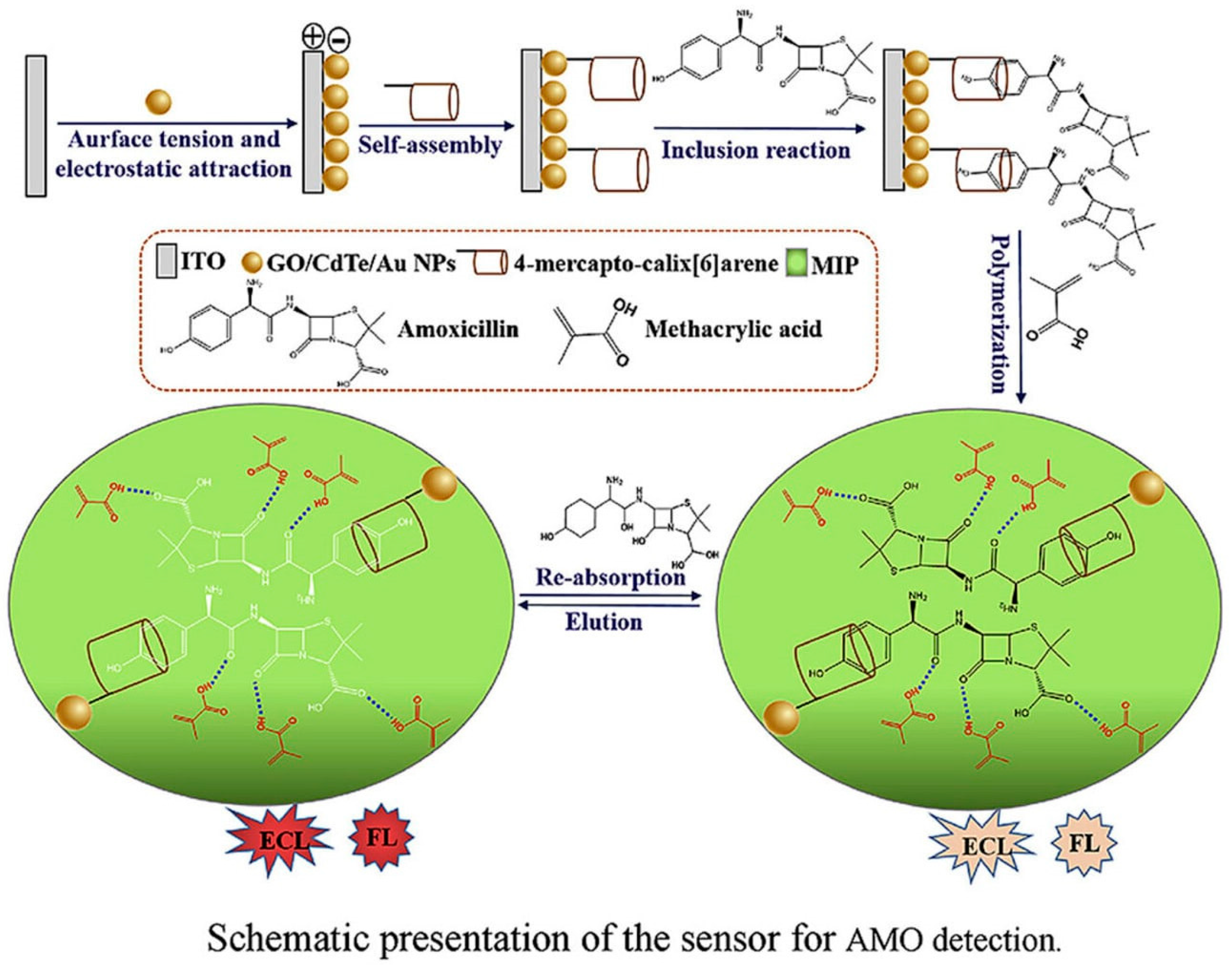 Sensors 24 05576 g006