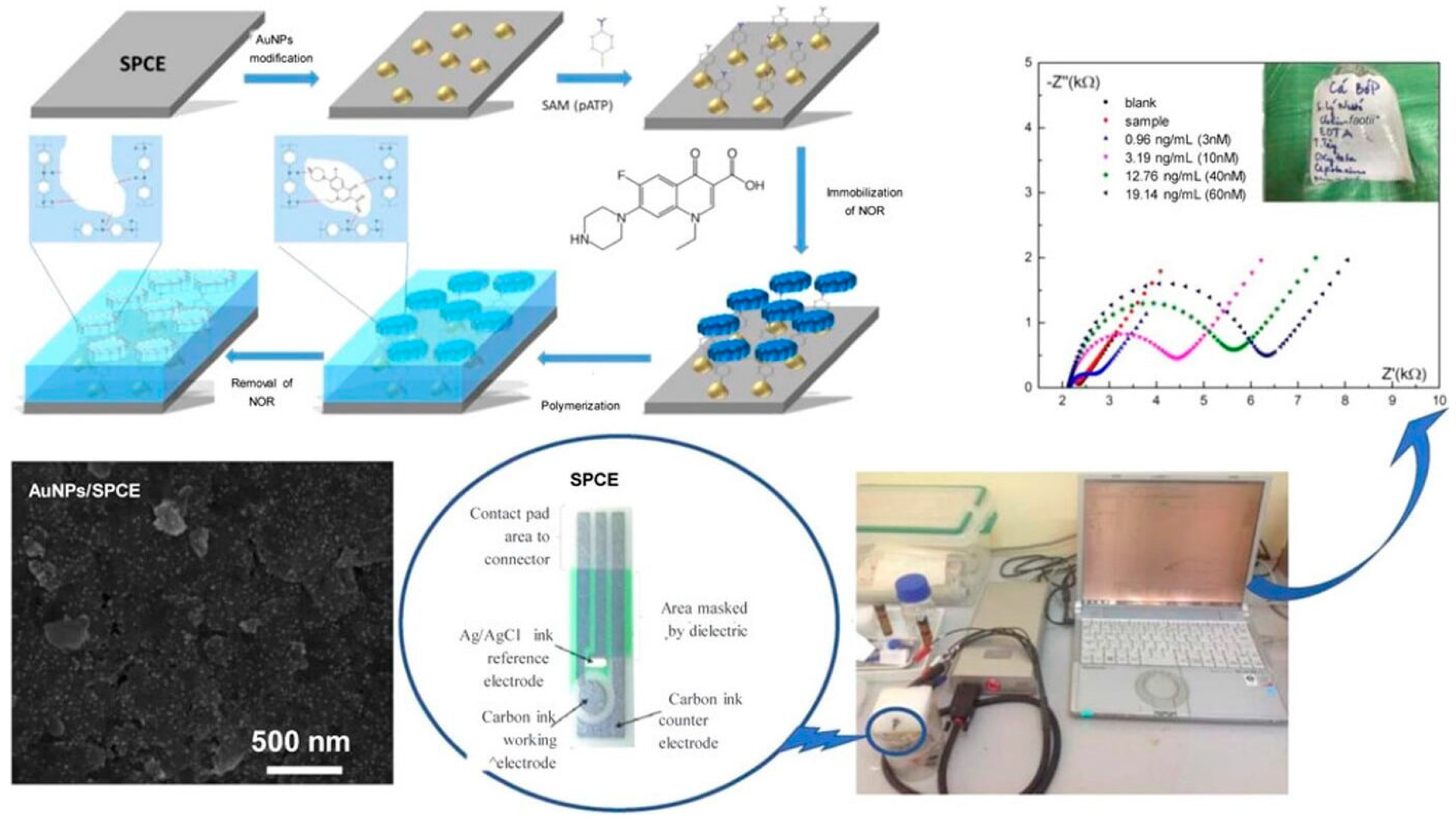 Sensors 24 05576 g007