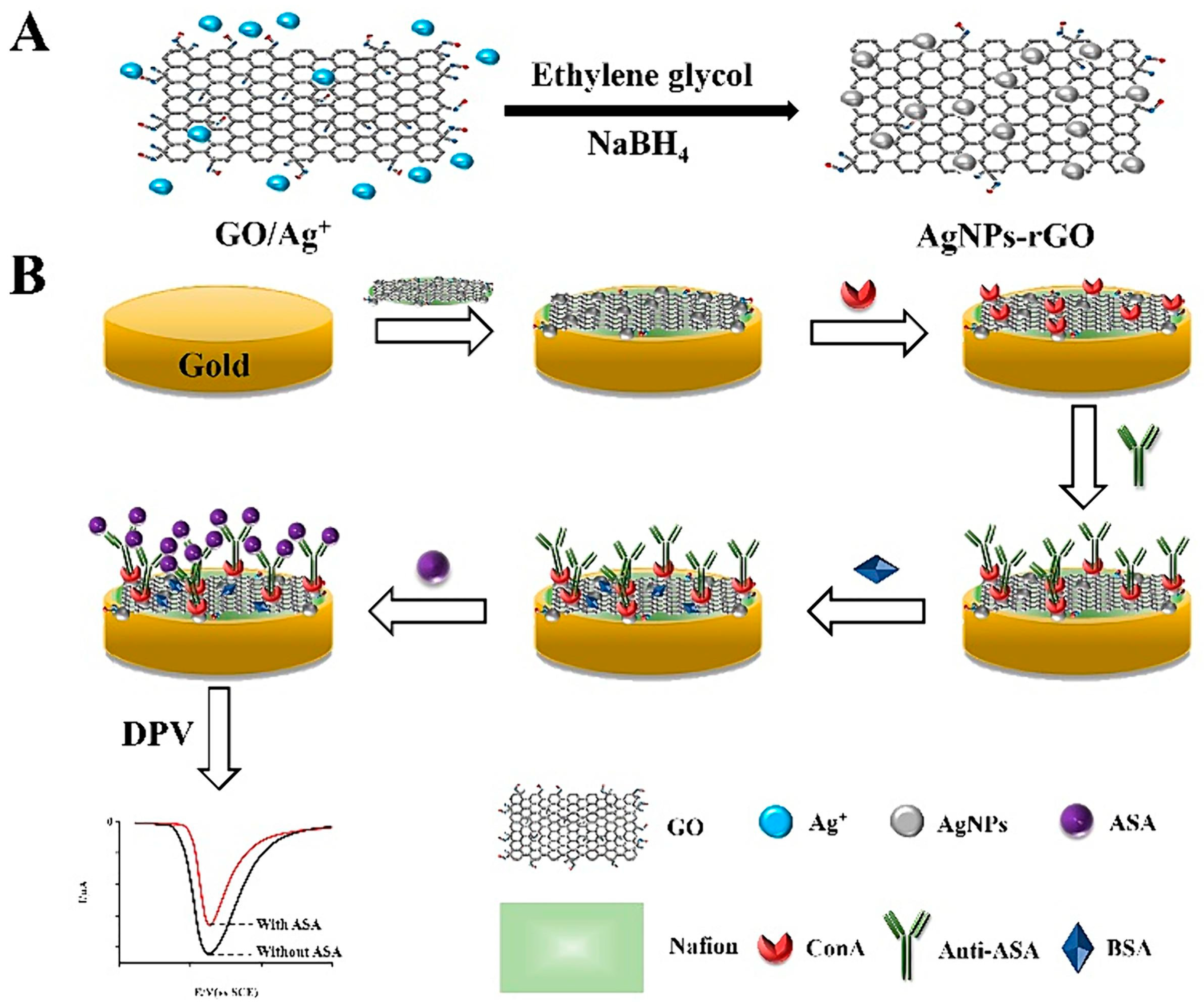 Sensors 24 05576 g008