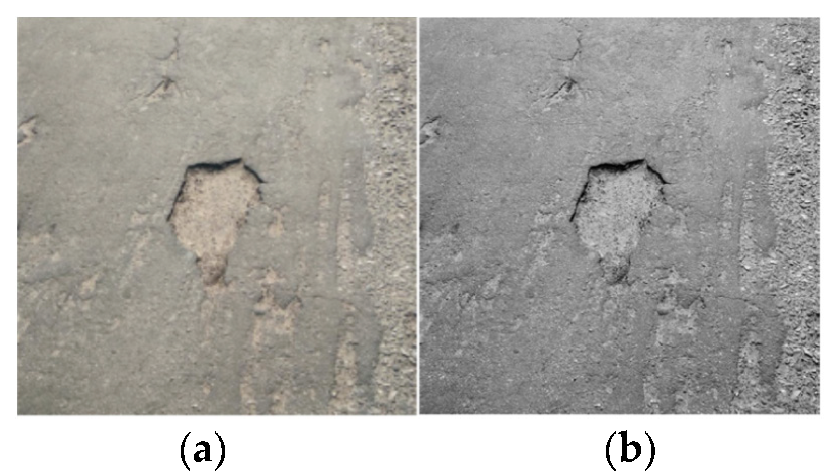 Sensors 24 05577 g001