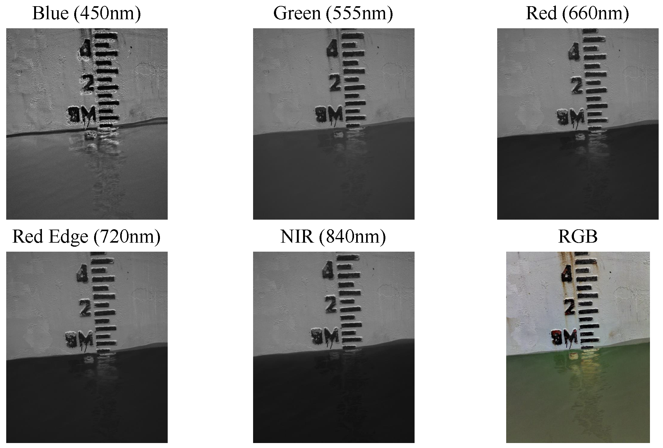 Sensors 24 05580 g003 Sensors 24 05580 g003