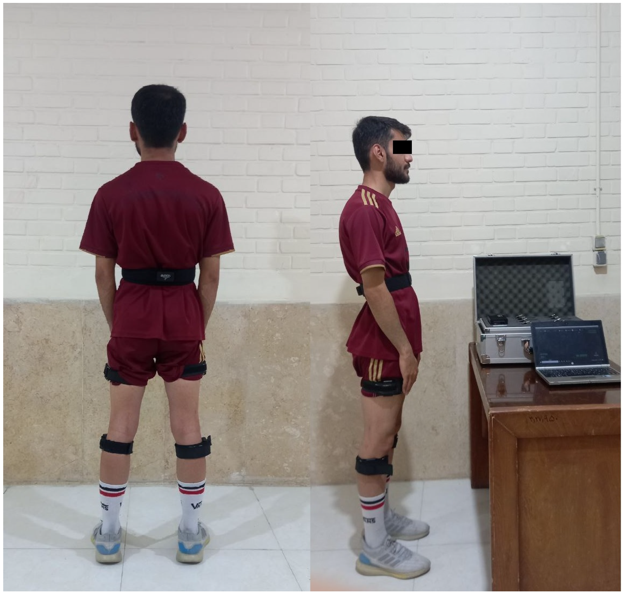 Sensors 24 05602 g001